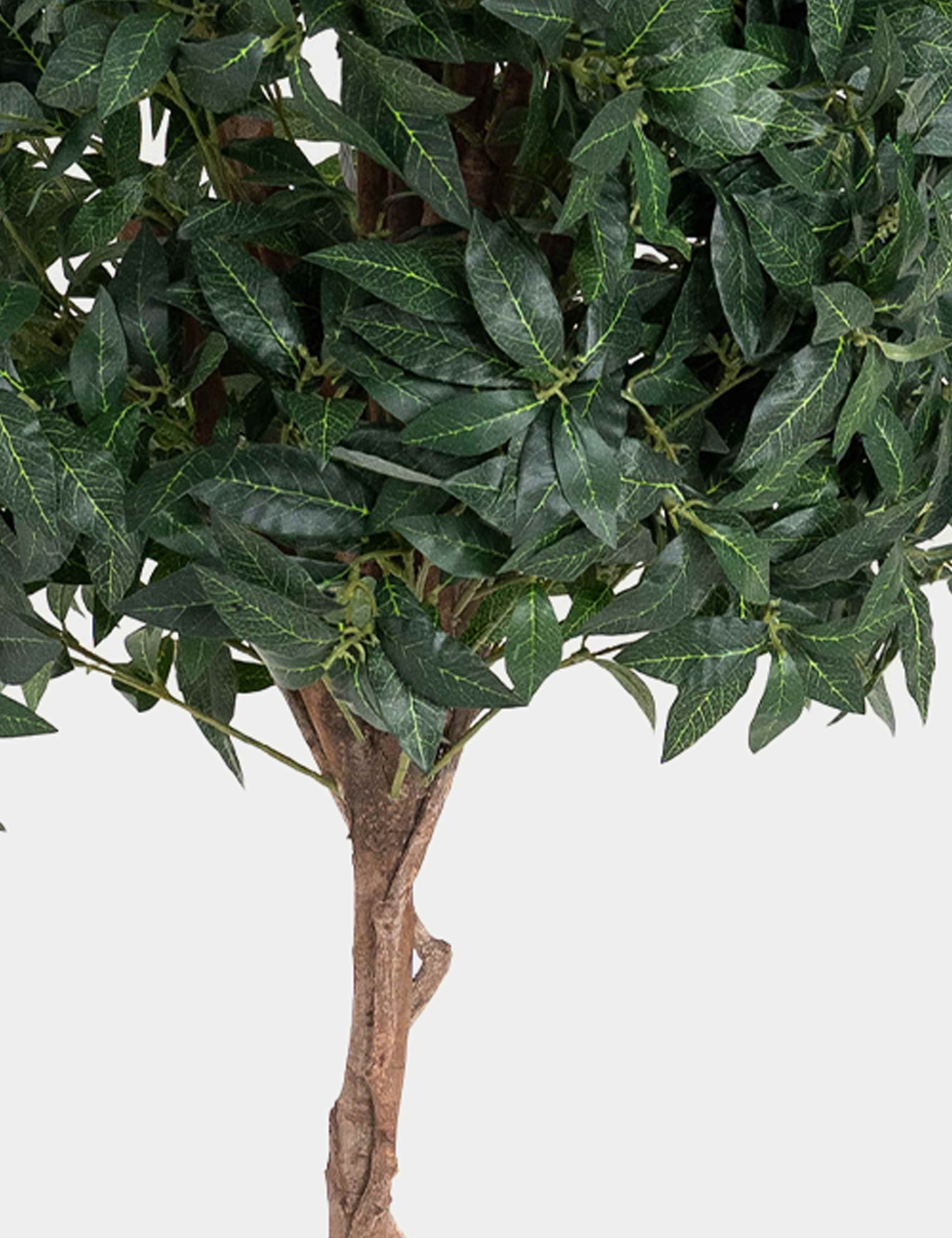 6ft Set of 2 Artificial Floor Standing Bay Trees 2 of 2