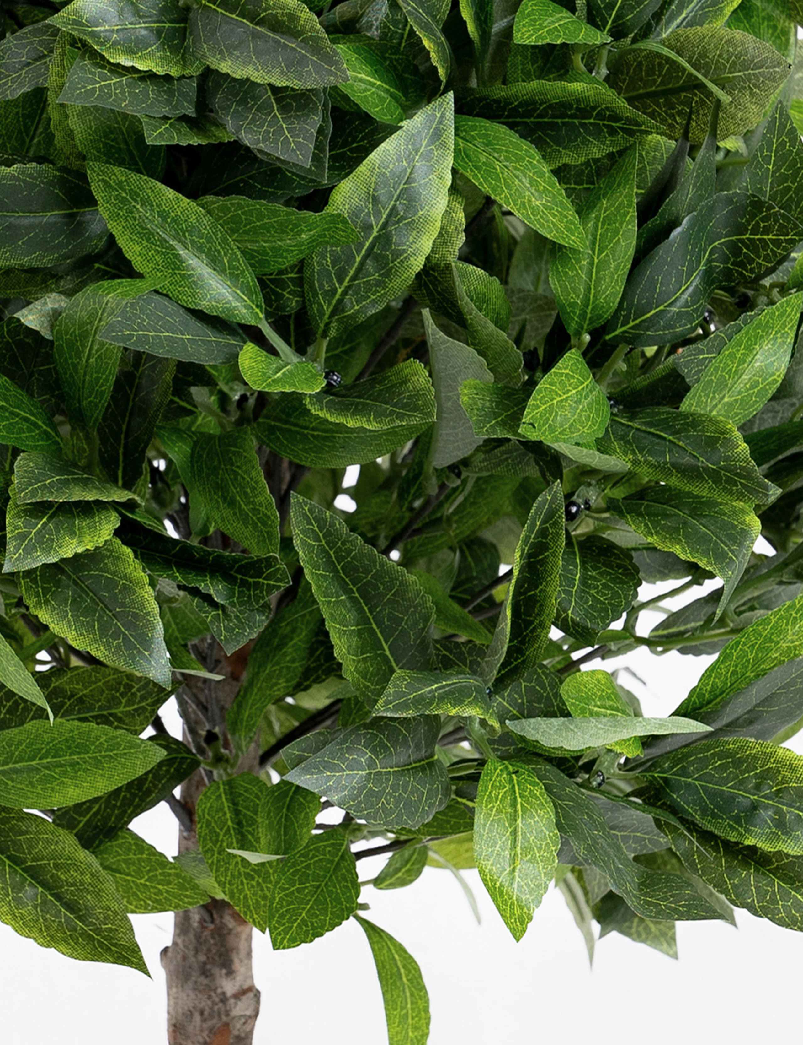 2.5ft Set of 2 Artificial Bay Bush Ball Trees 2 of 3