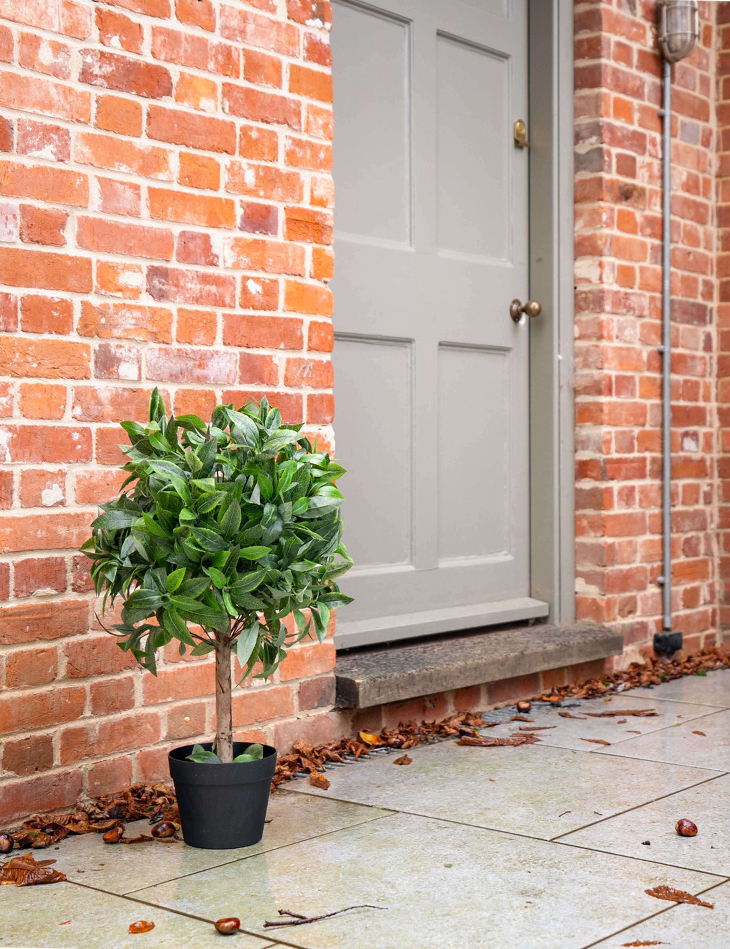 2.5ft Artificial Bay Laurel Bush Ball in Pot 3 of 3