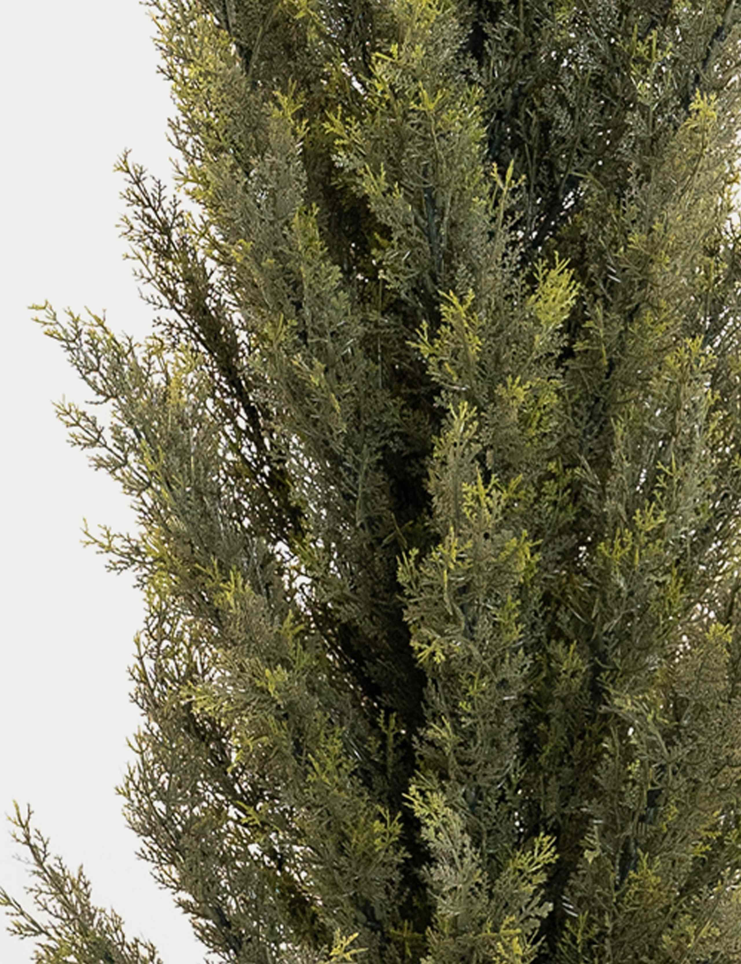 6ft Artificial Conifer Tree in Pot 2 of 3