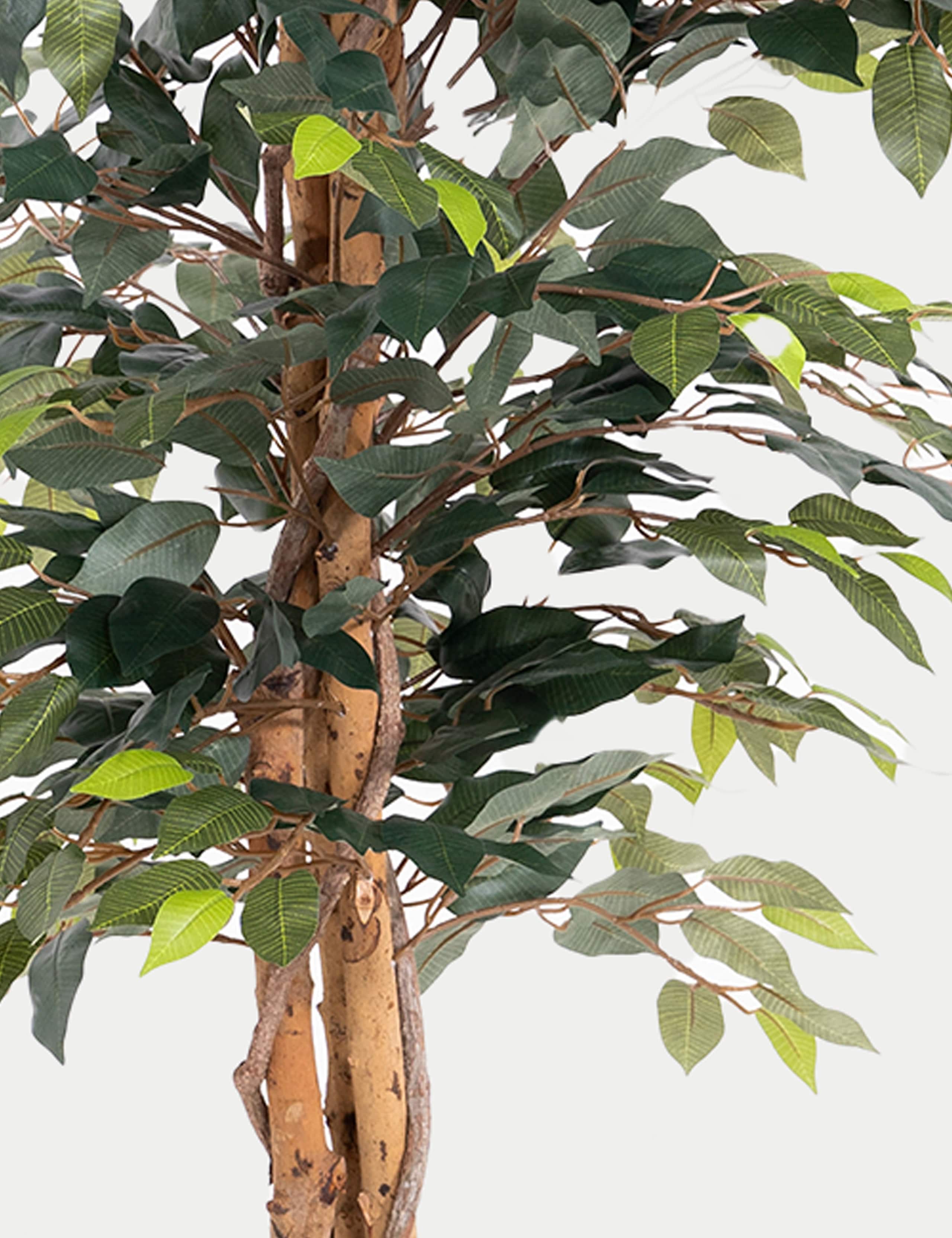 5ft Artificial Ficus Tree in Pot 2 of 4