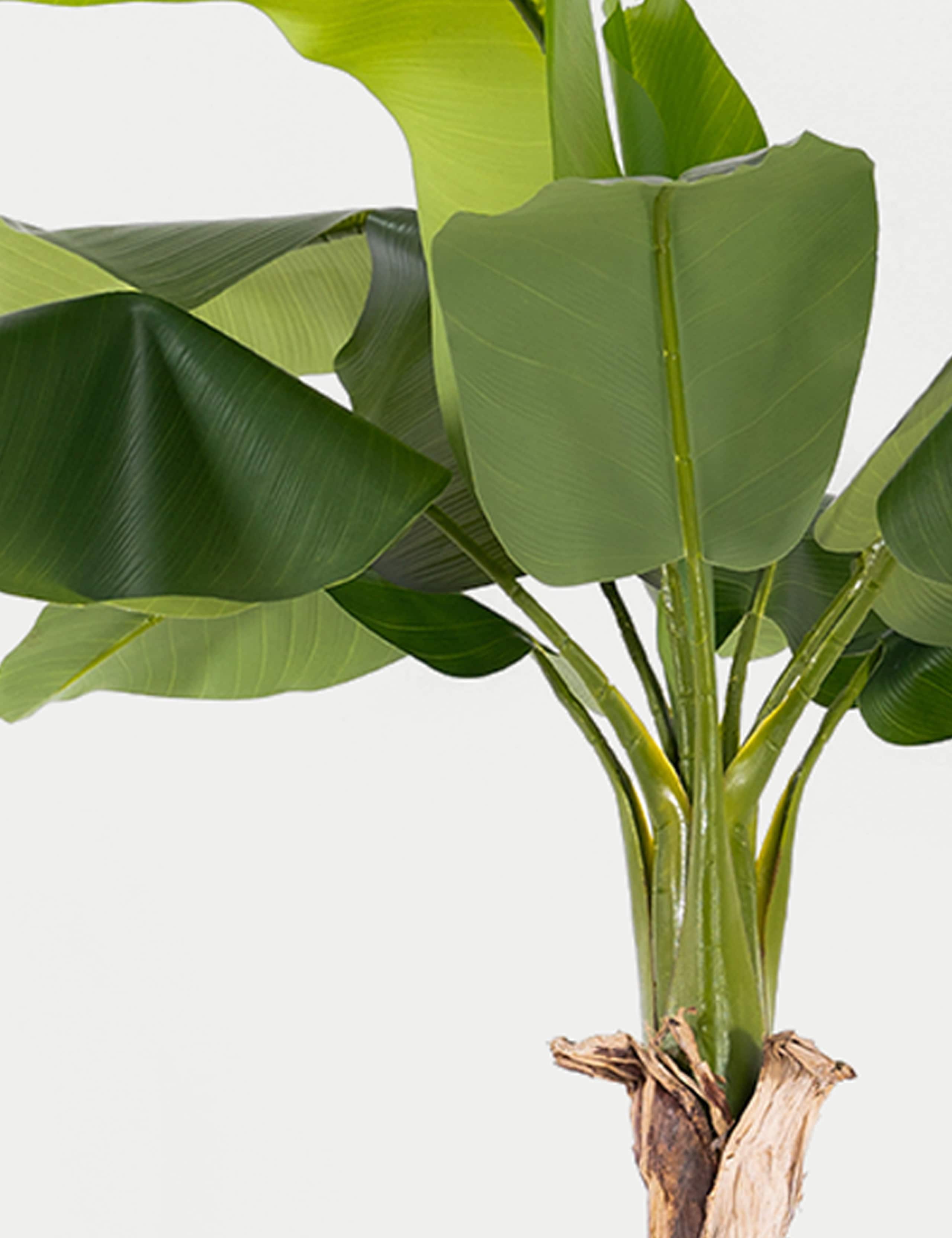 6ft Artificial Musa Banana Tree in Pot 2 of 3