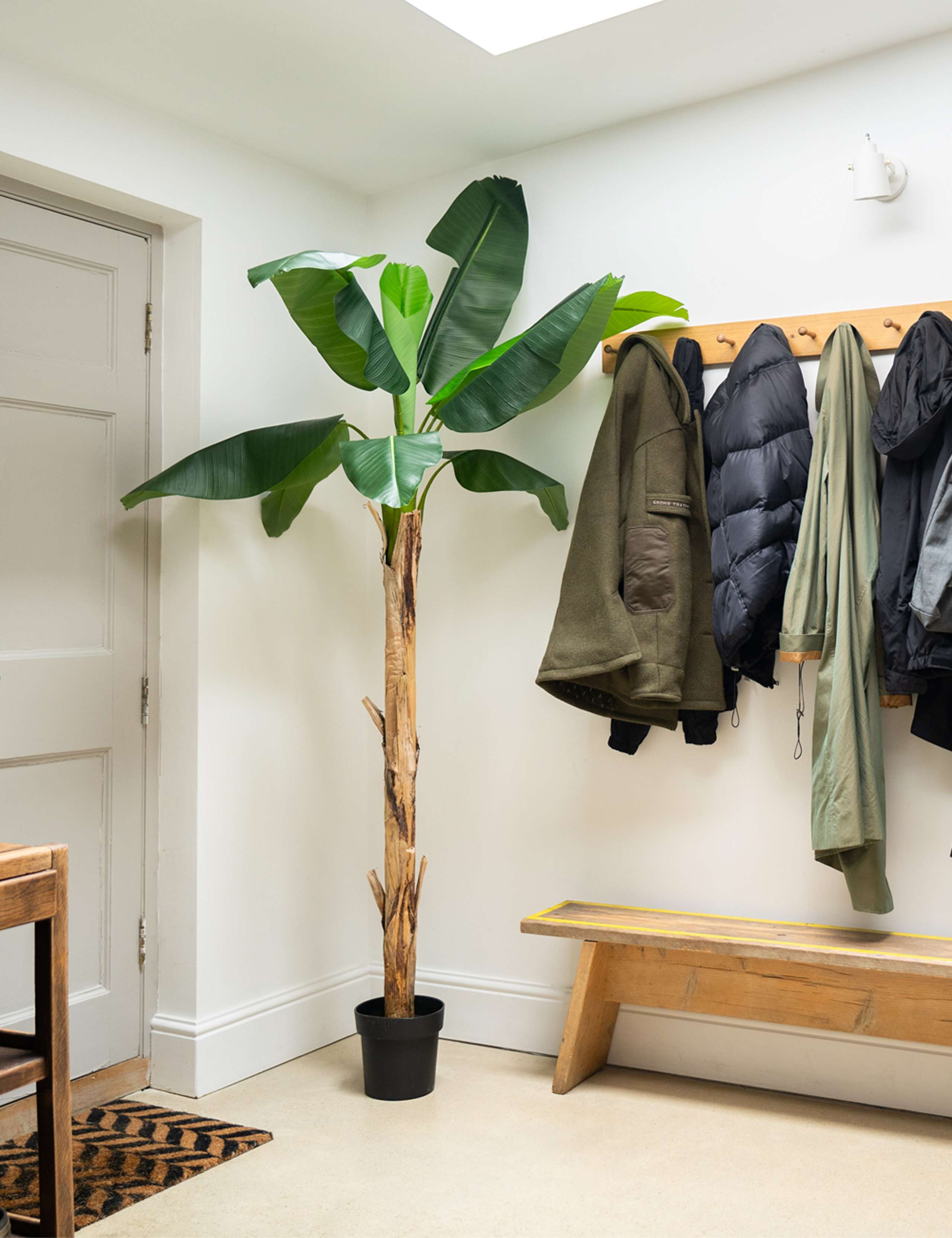 6ft Artificial Musa Banana Tree in Pot 3 of 3