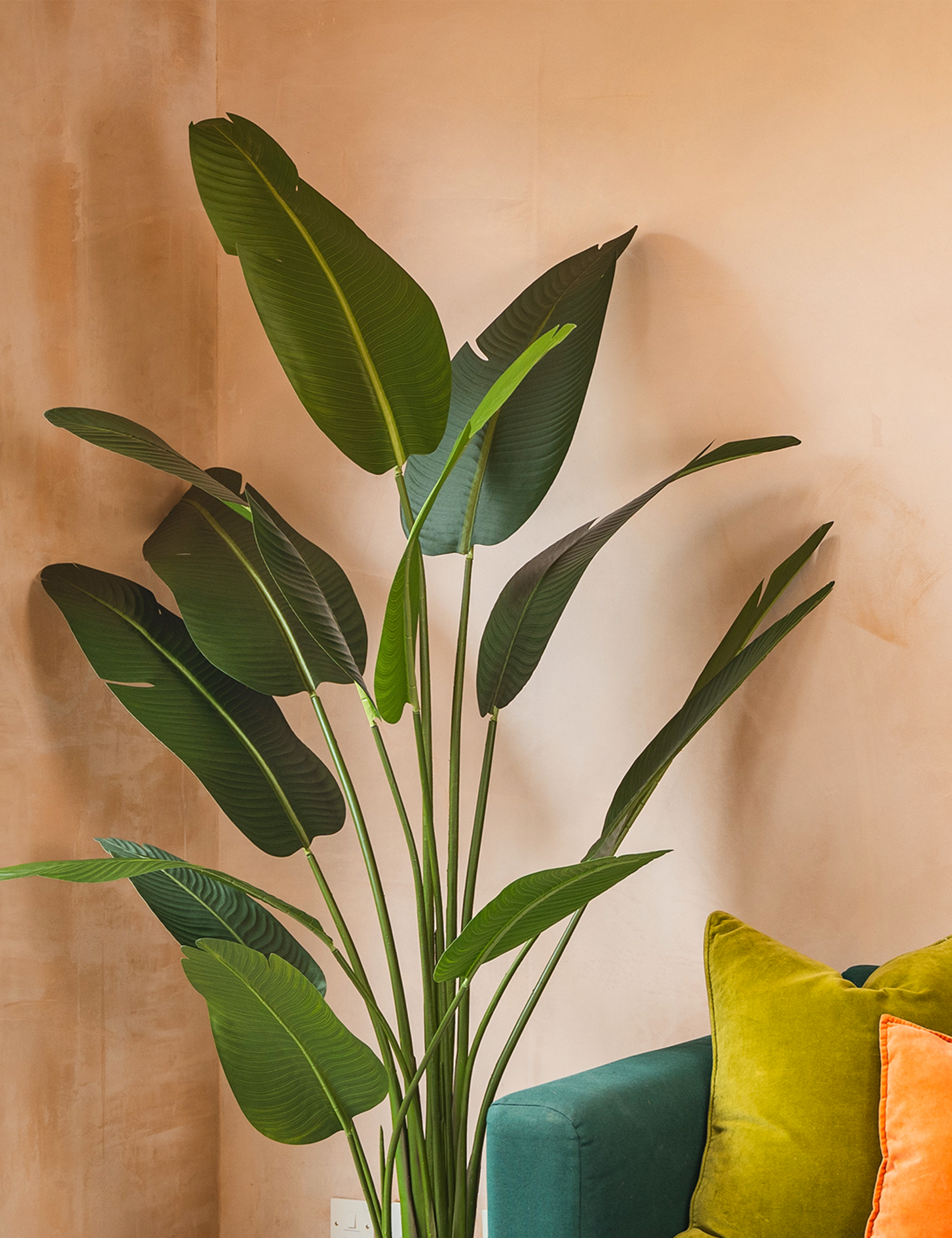 Artificial 7ft Strelitzia House Plant in Pot 2 of 5