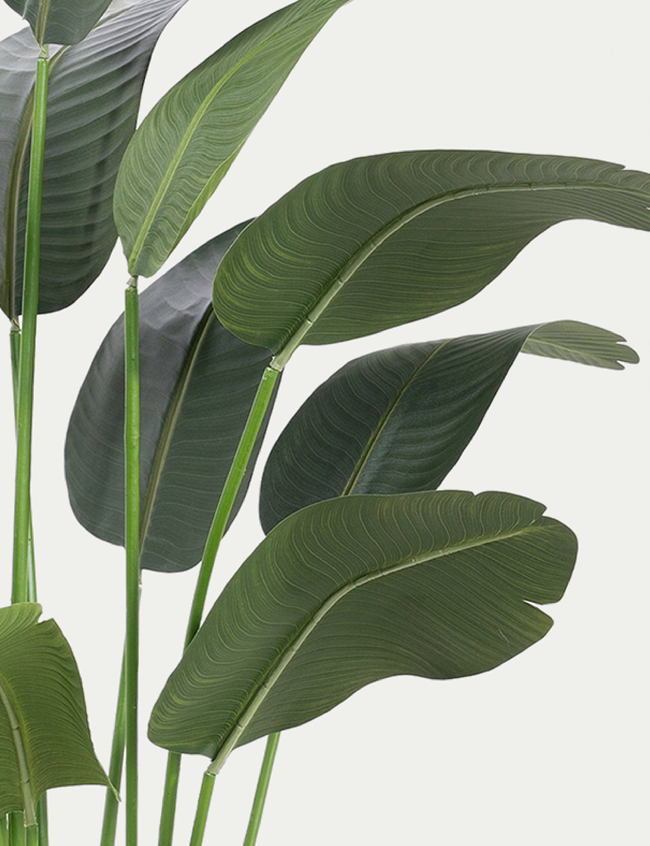 Artificial 7ft Strelitzia House Plant in Pot 4 of 5