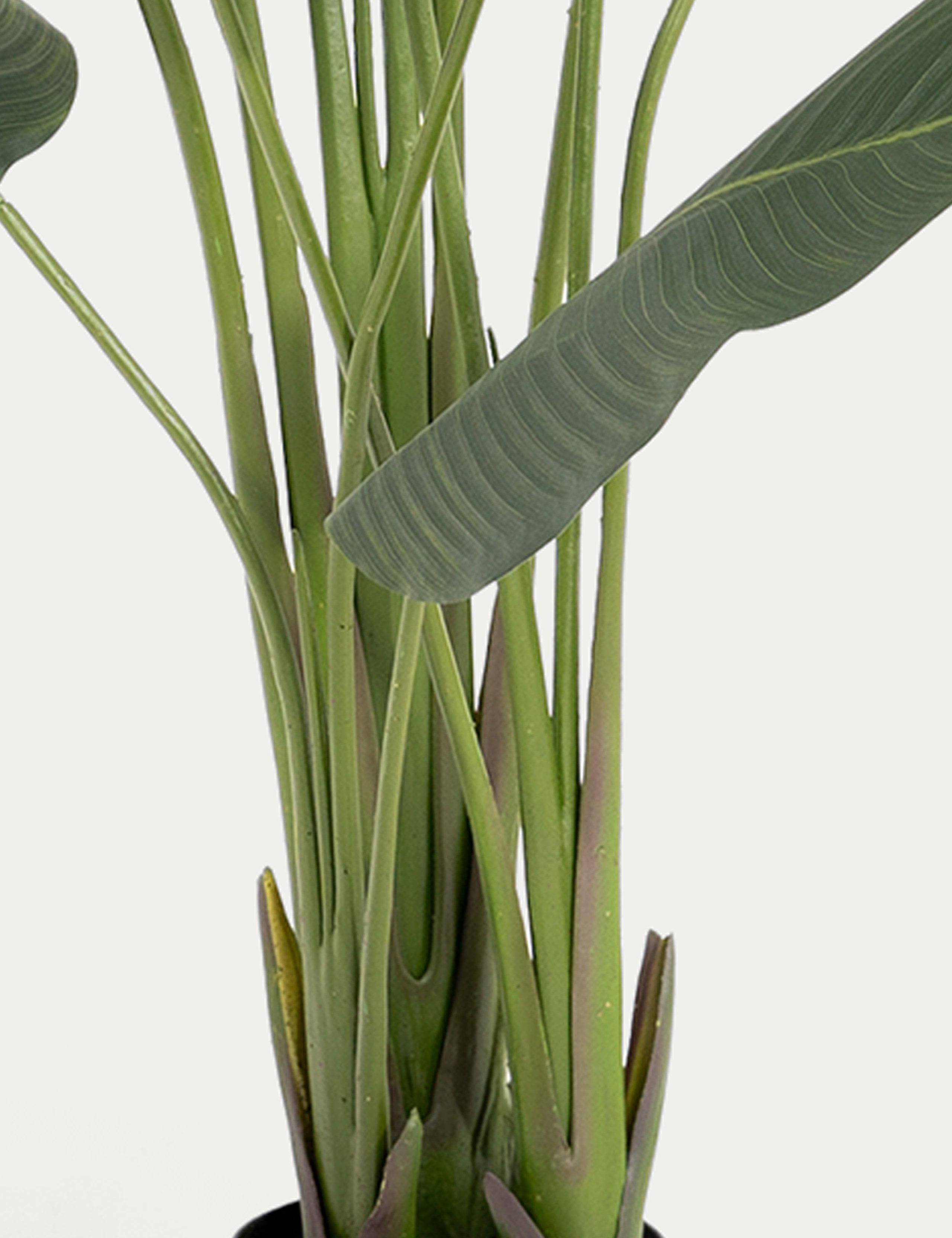 Artificial 7ft Strelitzia House Plant in Pot 5 of 5