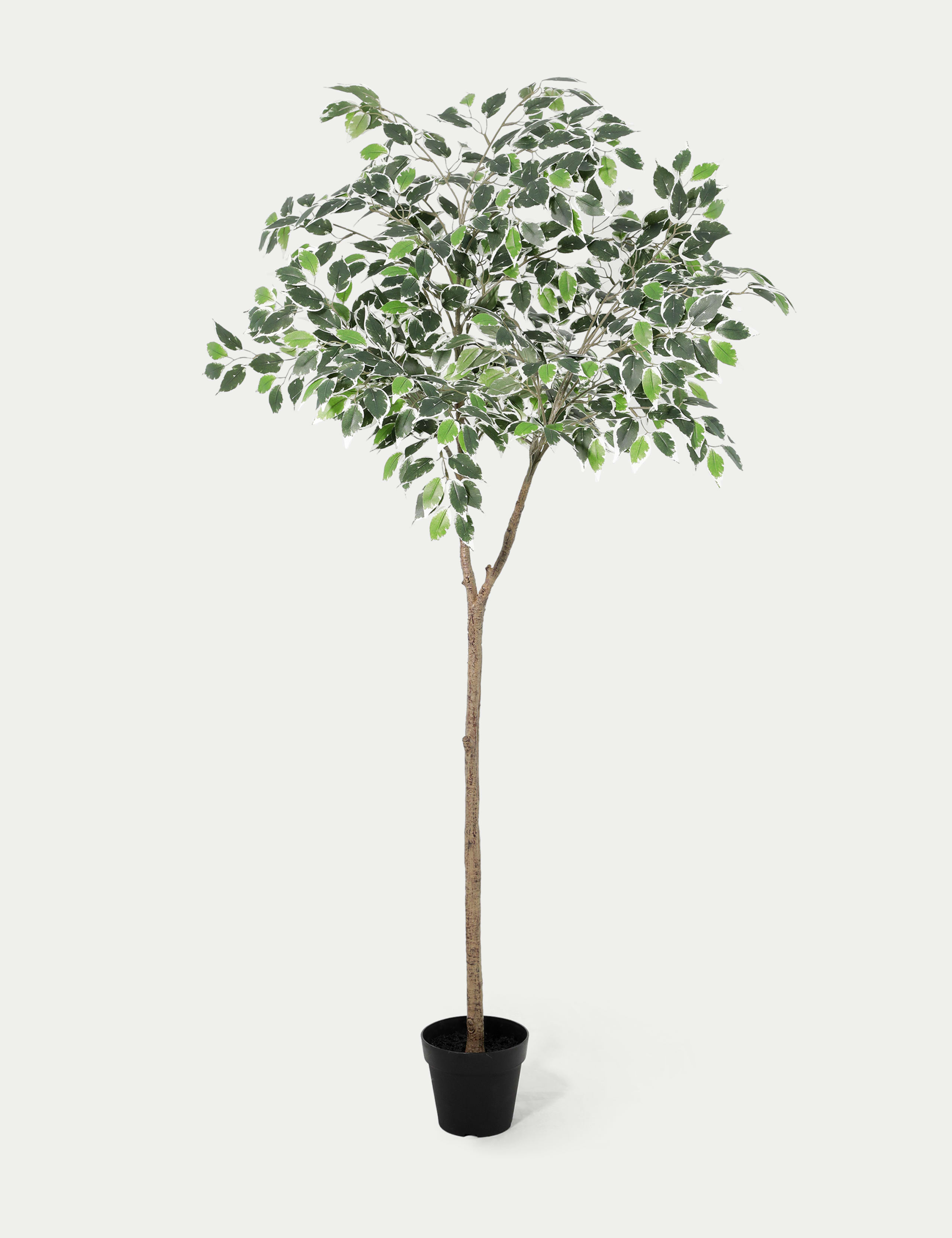 Artificial 5ft Ficus Topping Tree 1 of 3