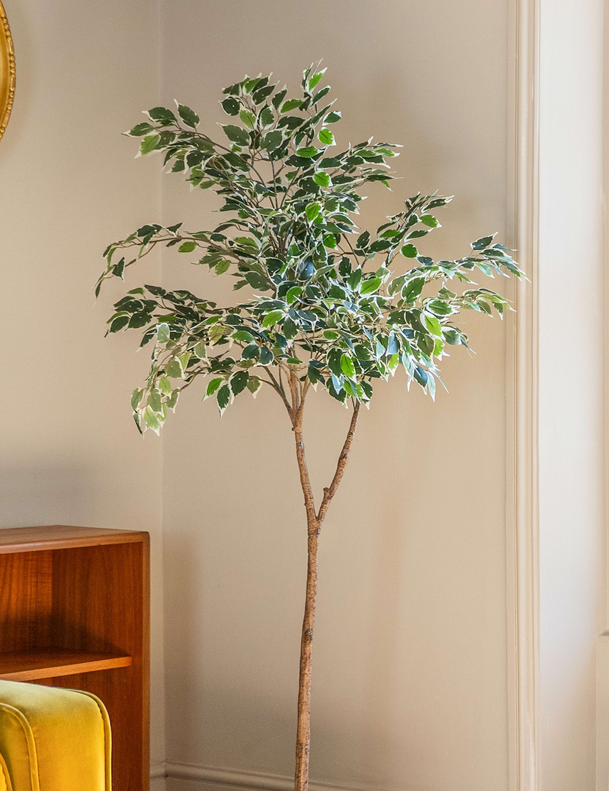 Artificial 5ft Ficus Topping Tree 2 of 3