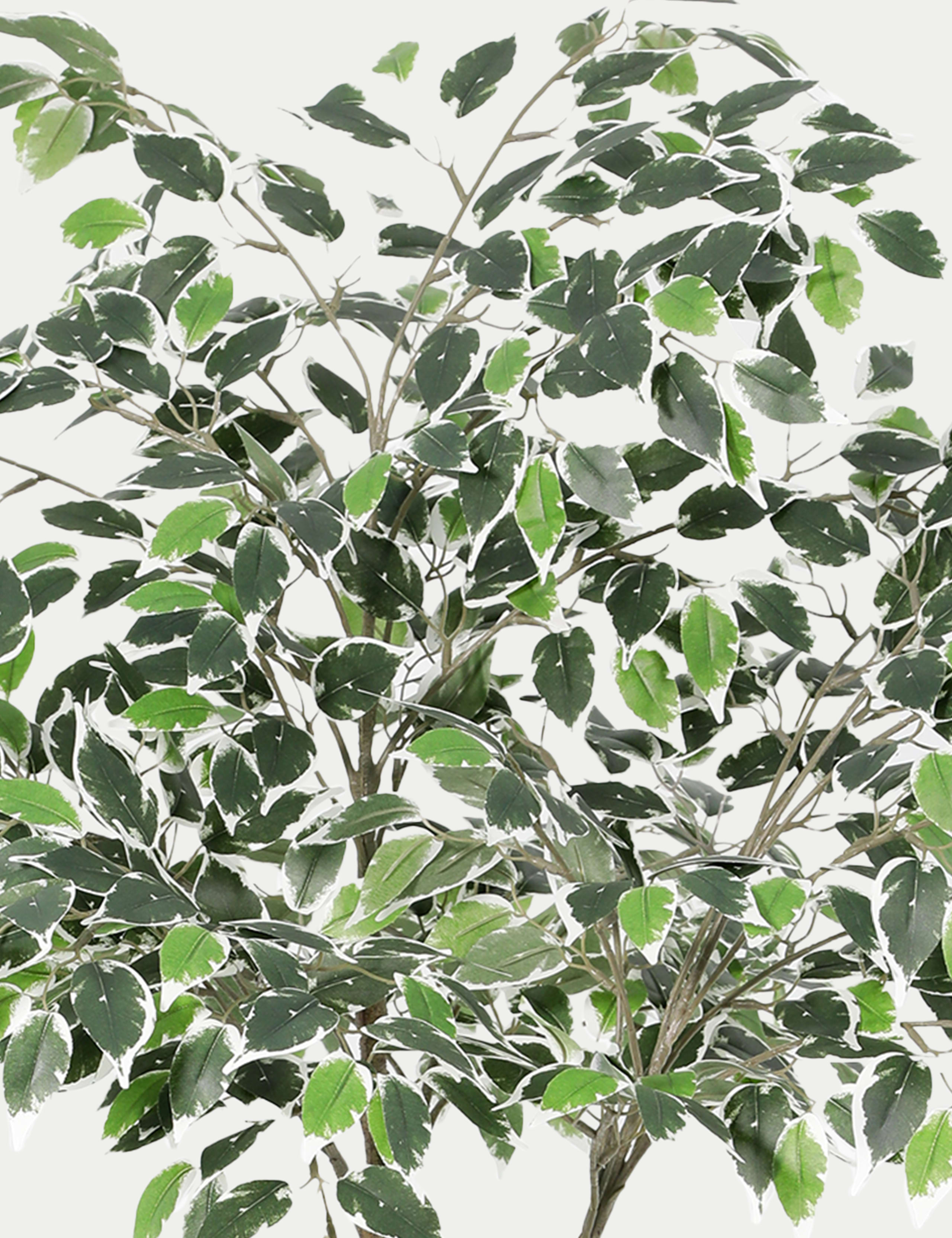 Artificial 5ft Ficus Topping Tree 3 of 3