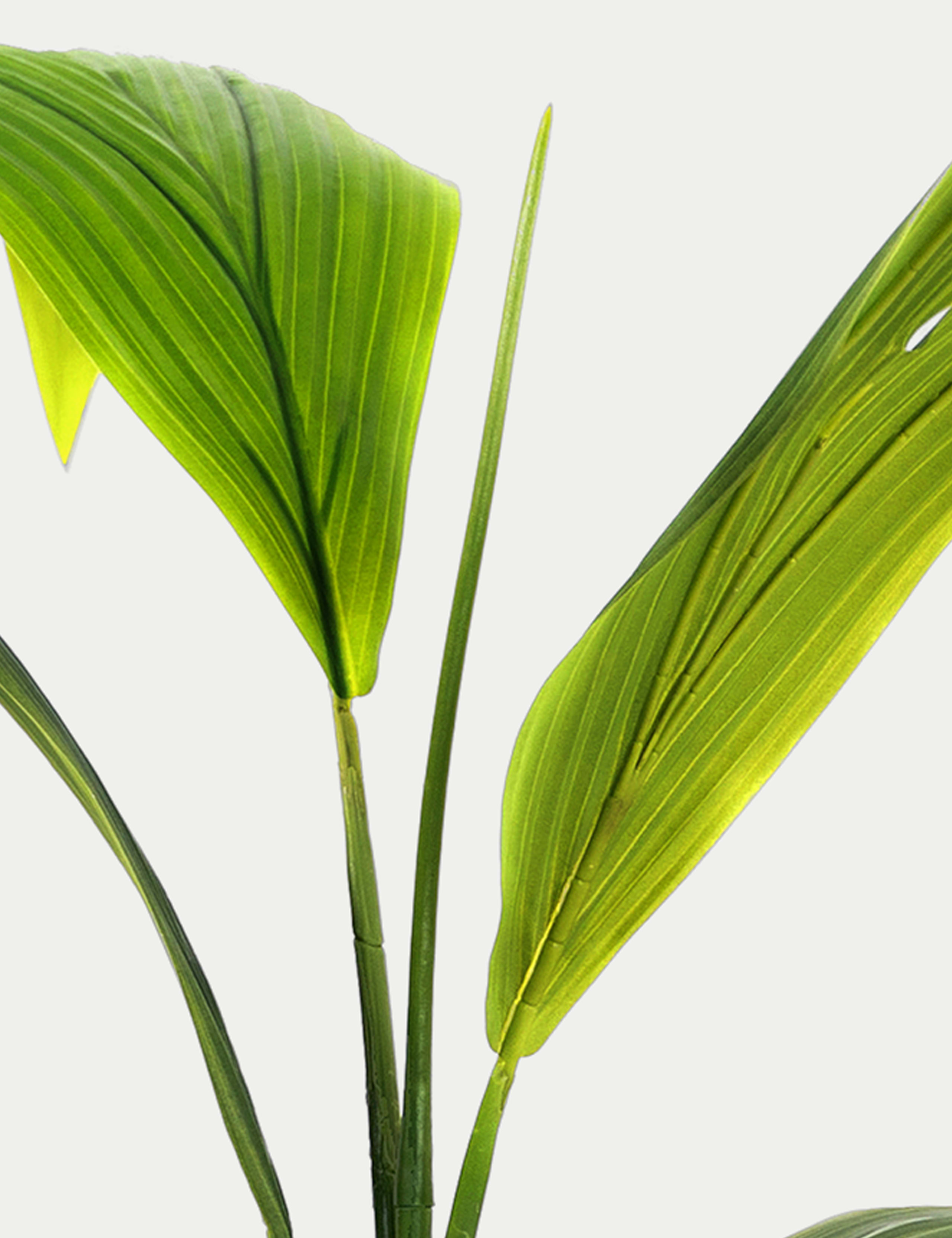 4ft Artificial Coconut Palm 2 of 3