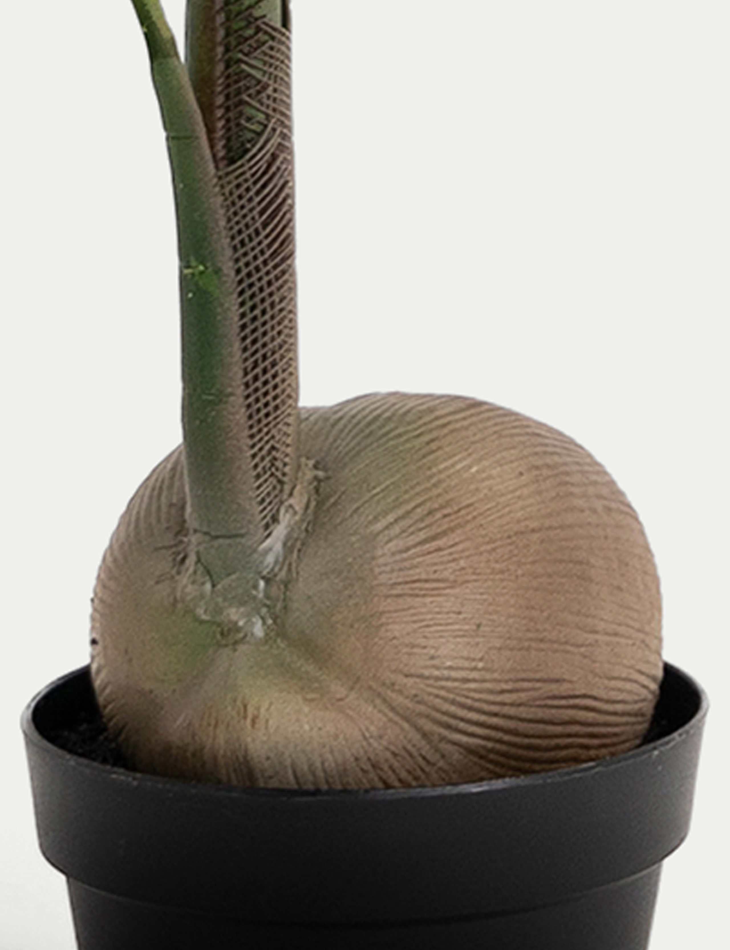 4ft Artificial Coconut Palm 3 of 3