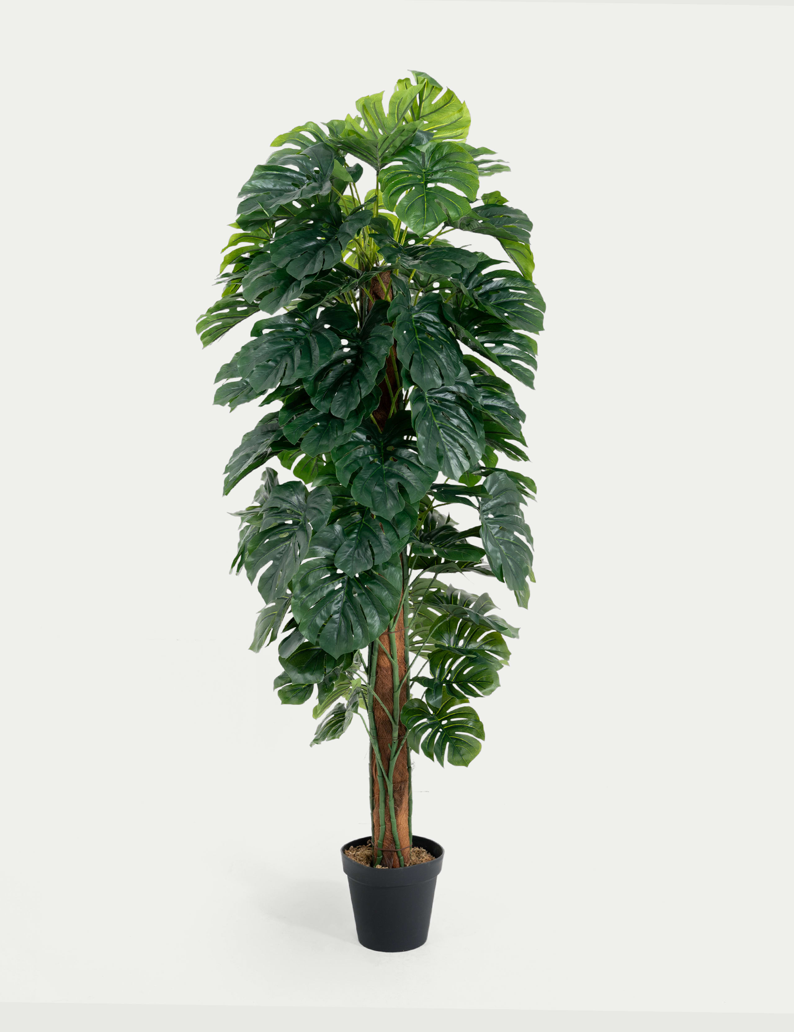 Artificial 6ft Monstera Plant on Pole 1 of 5