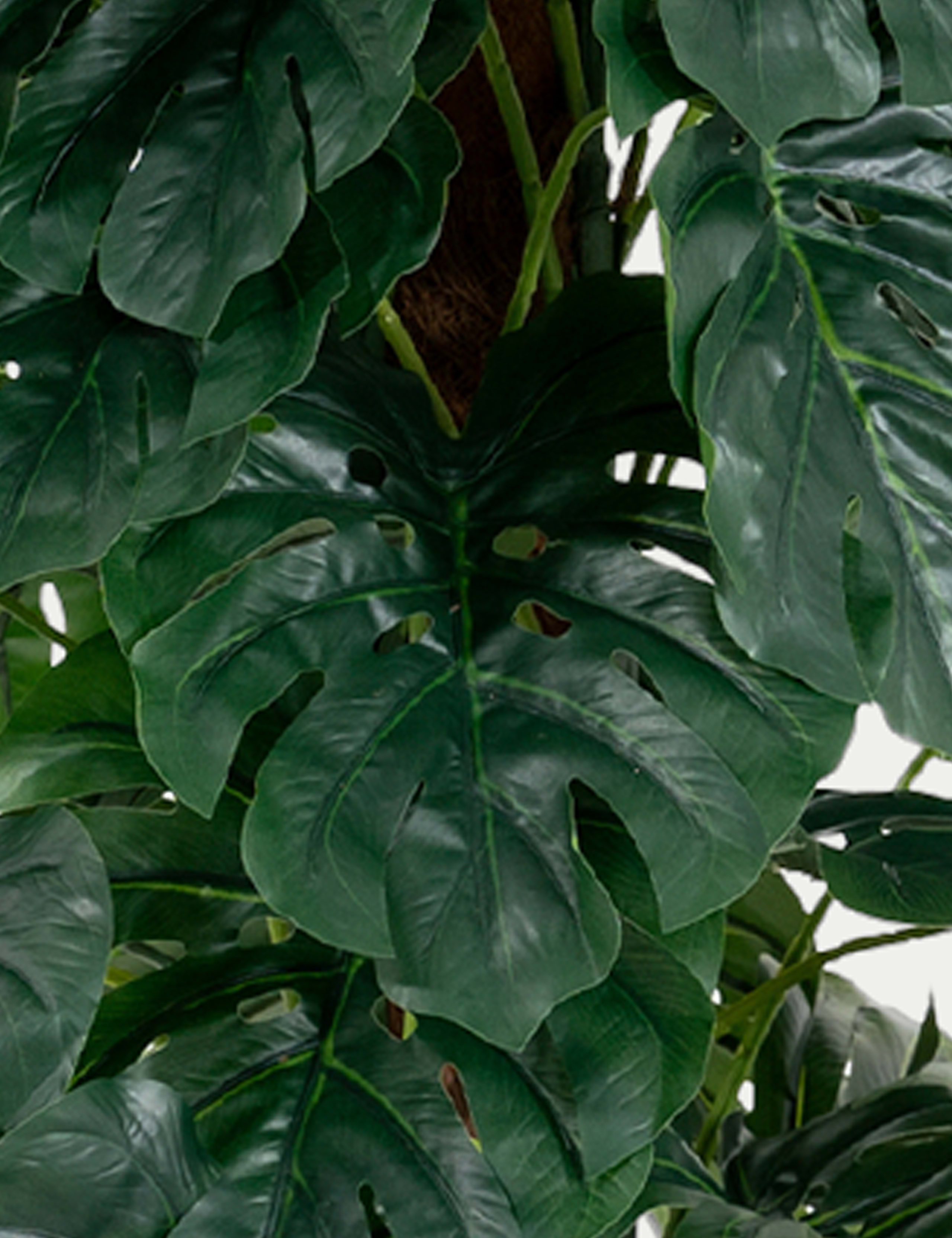 Artificial 6ft Monstera Plant on Pole 4 of 5