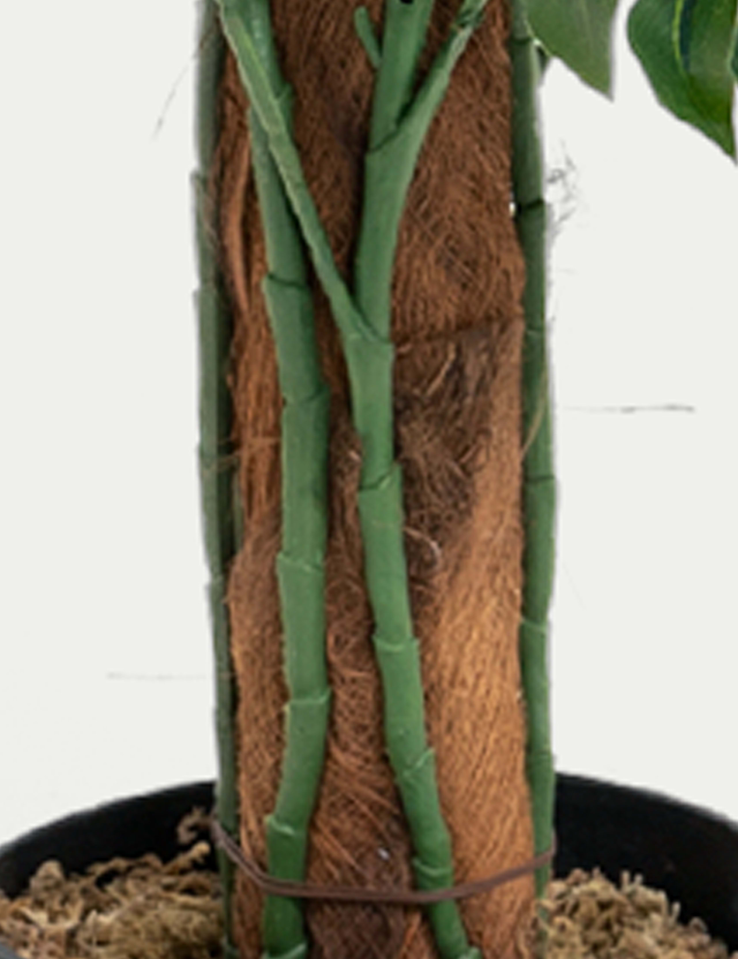 Artificial 6ft Monstera Plant on Pole 5 of 5