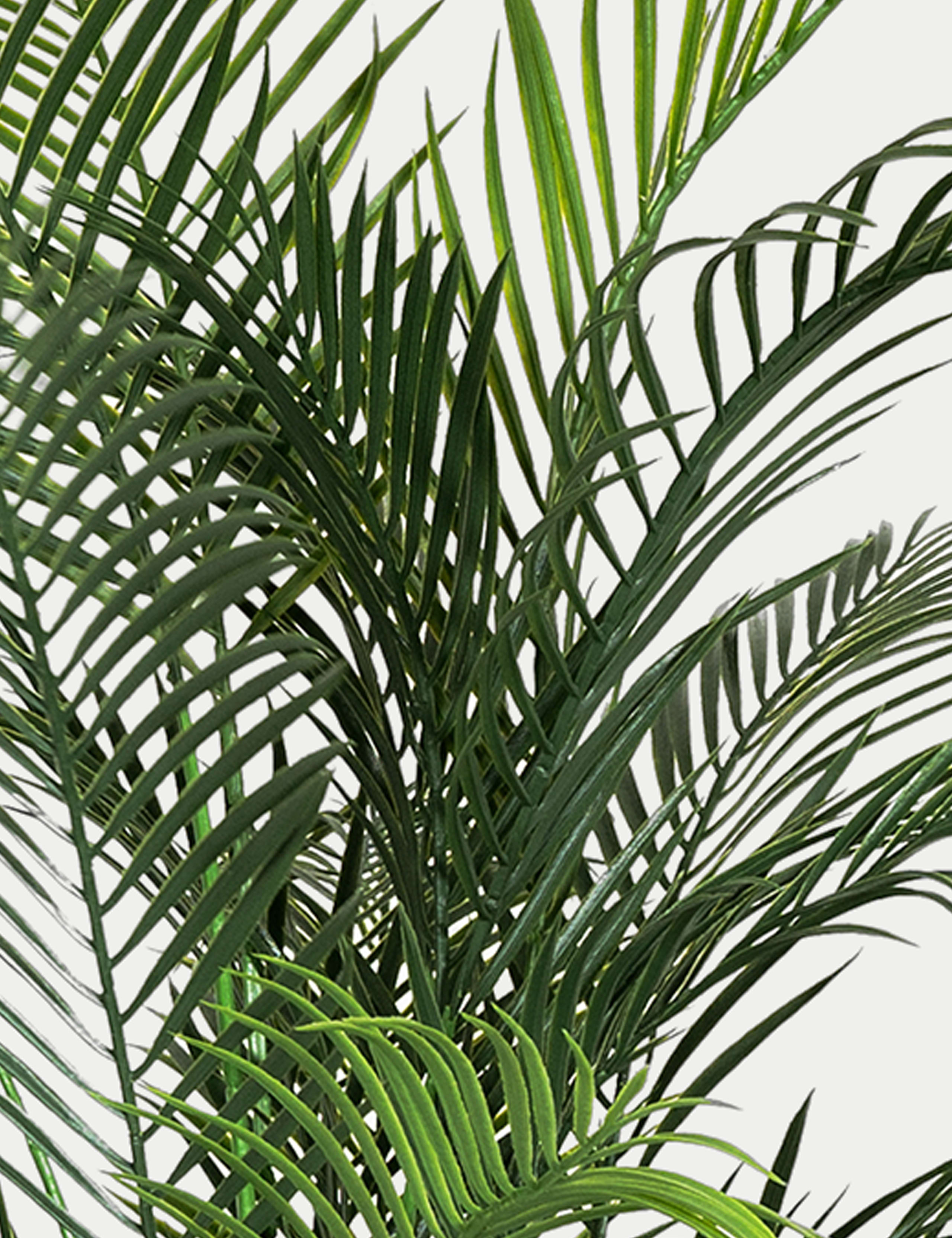 5.5ft Artificial Outdoor Areca Palm 4 of 4
