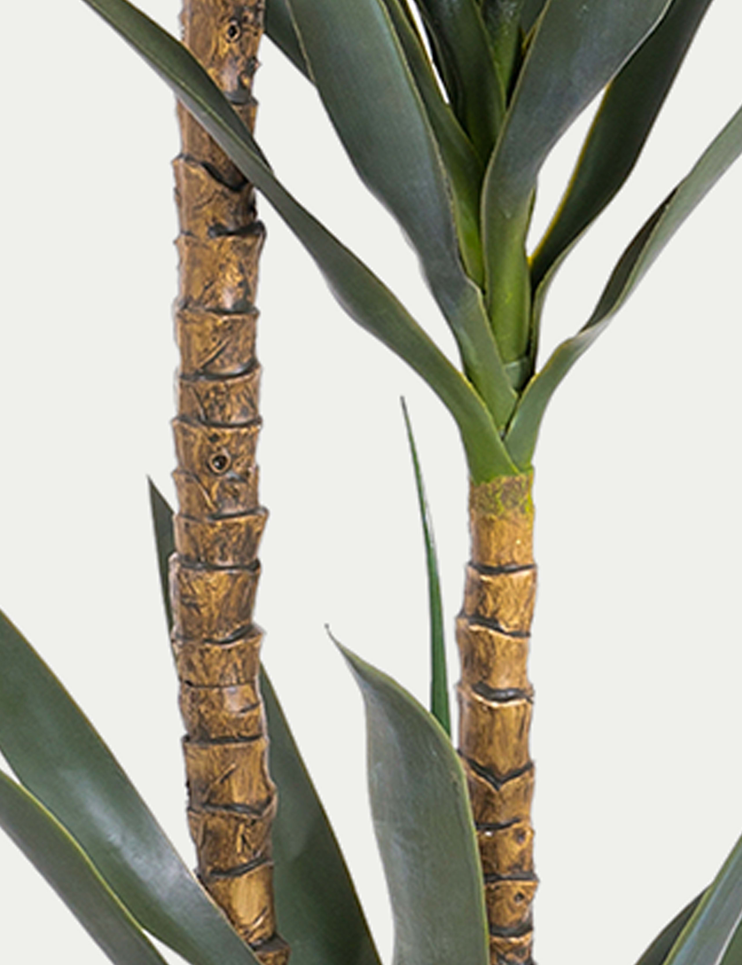 5ft Artificial Exotic Agave Plant 3 of 4