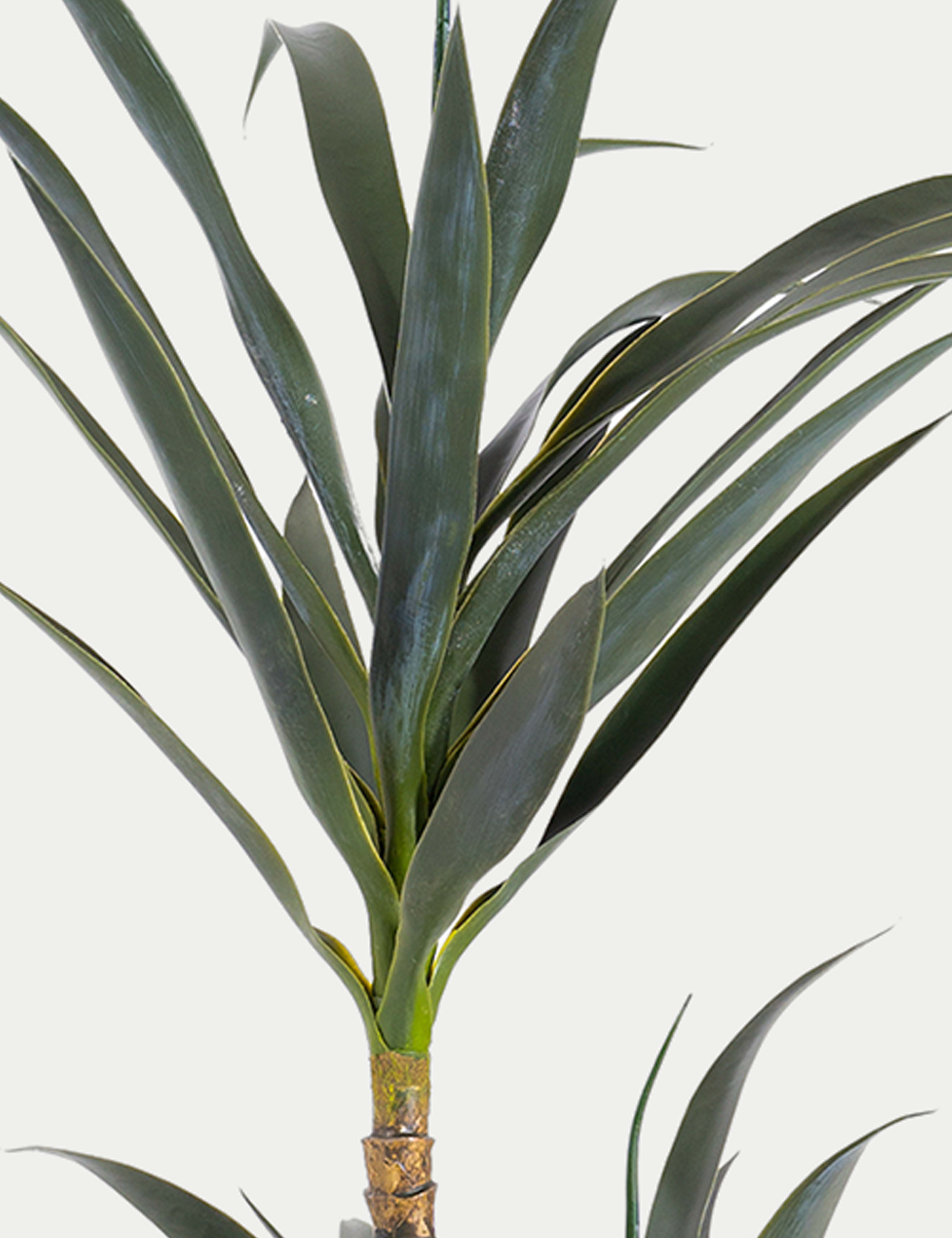 5ft Artificial Exotic Agave Plant 4 of 4