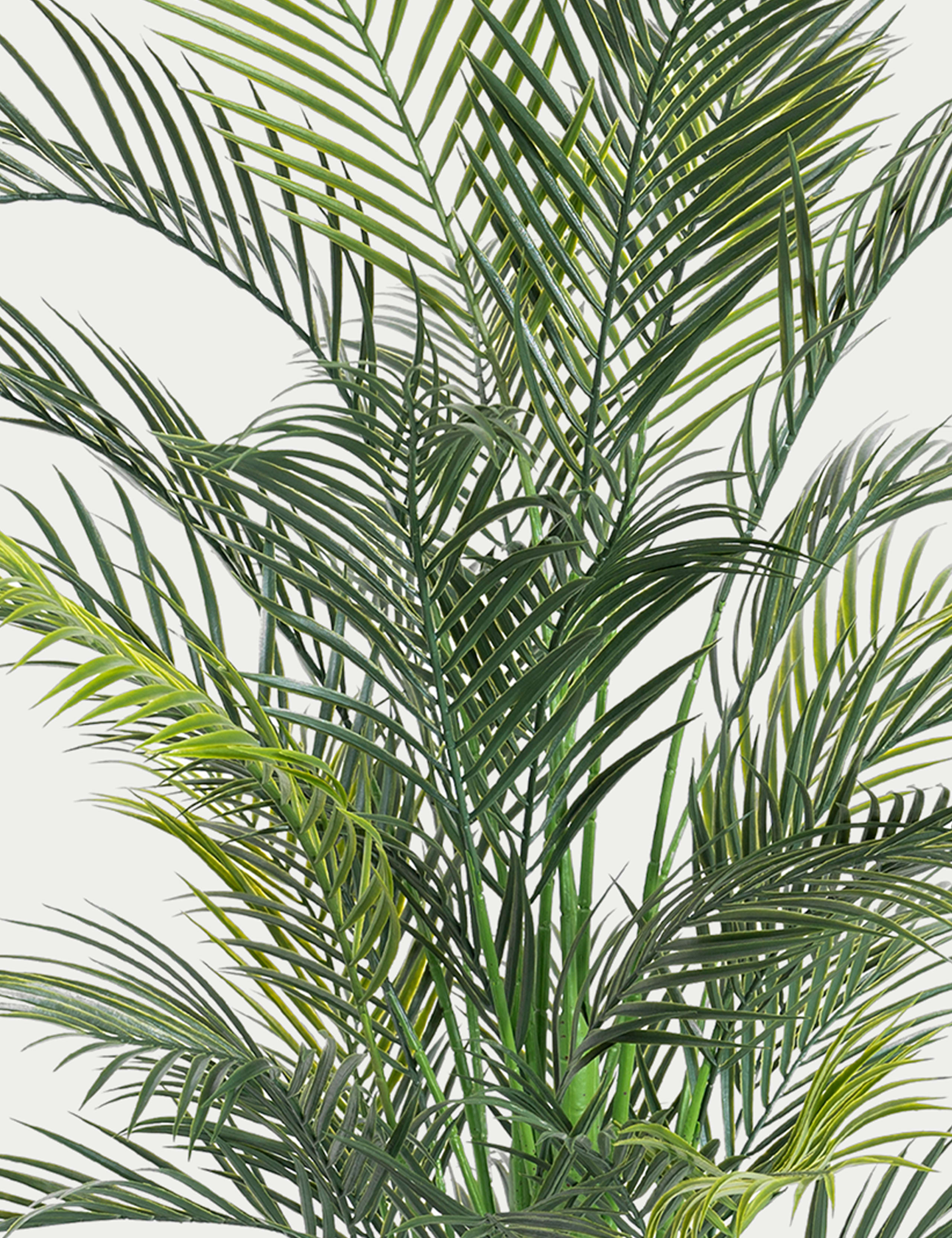 4.5ft Artificial Outdoor Areca Palm 3 of 4