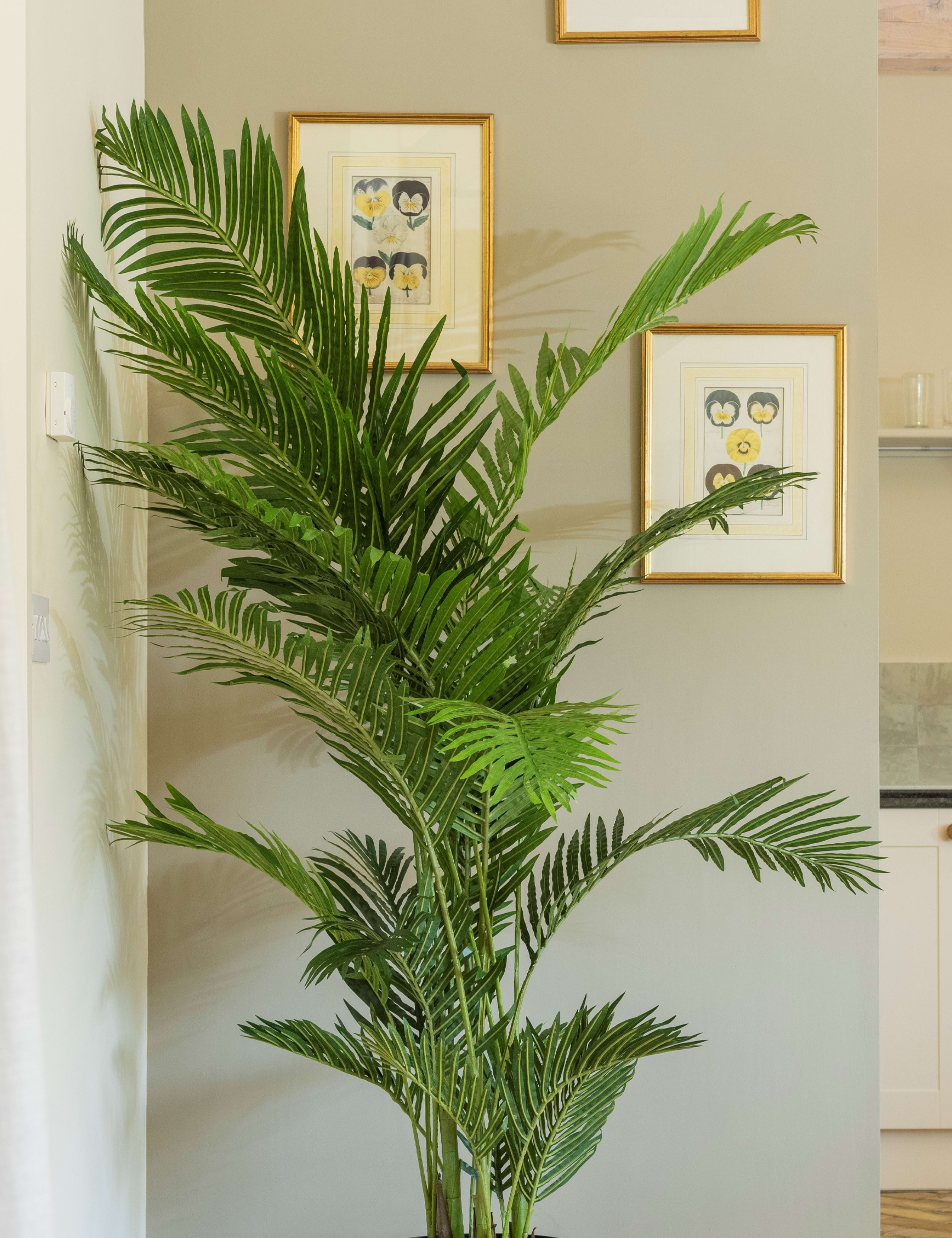 6.5ft Artificial Indoor Paradise Palm 2 of 3
