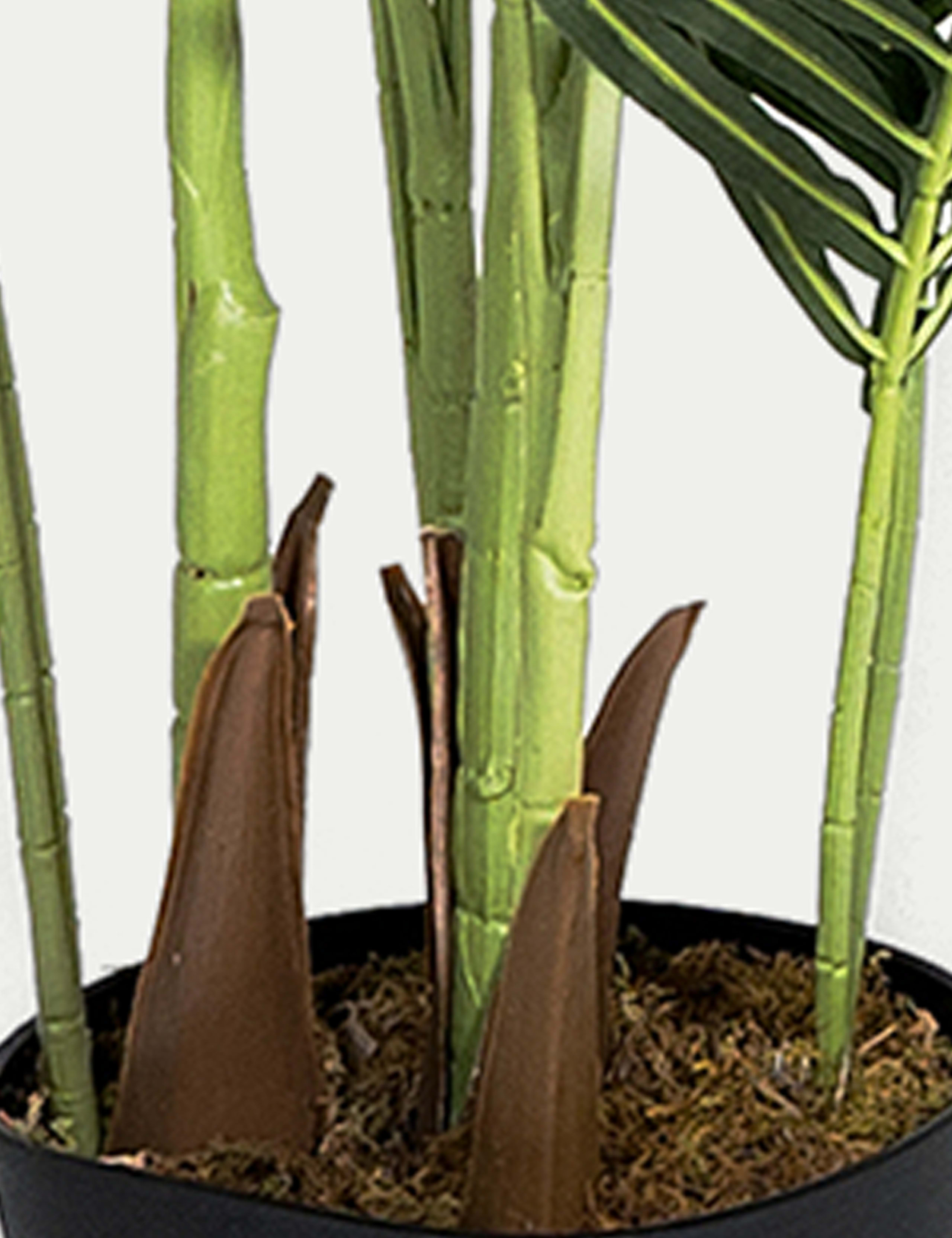 6ft Artificial Indoor Paradise Palm 3 of 3