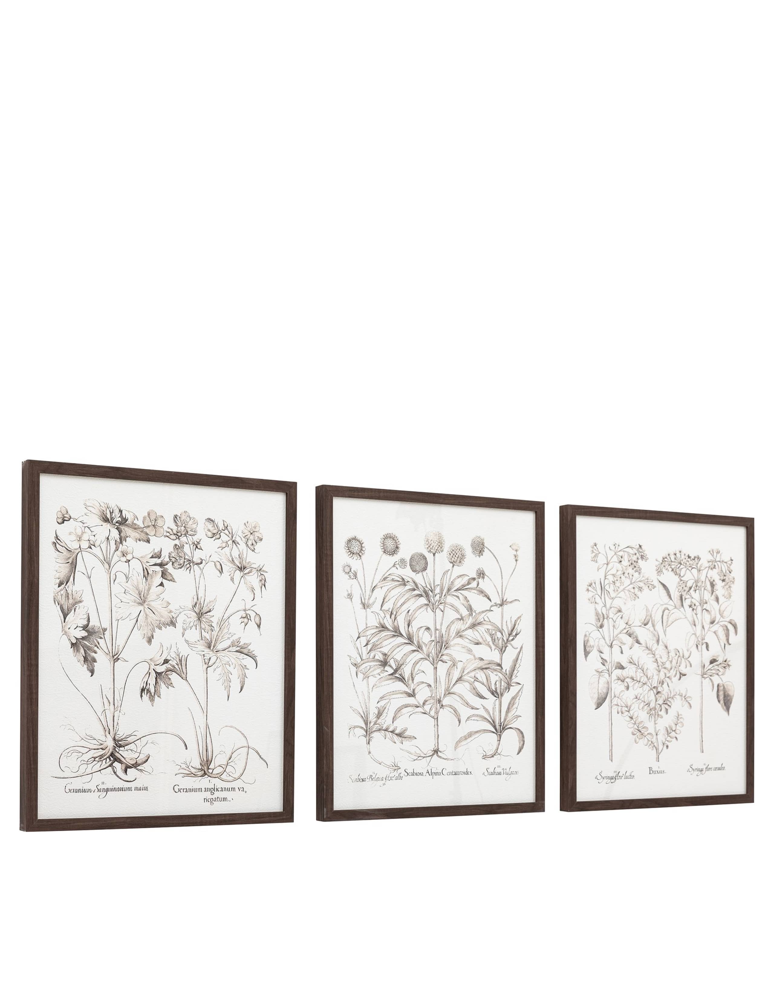 Set of 3 Evergreen Framed Art 3 of 8