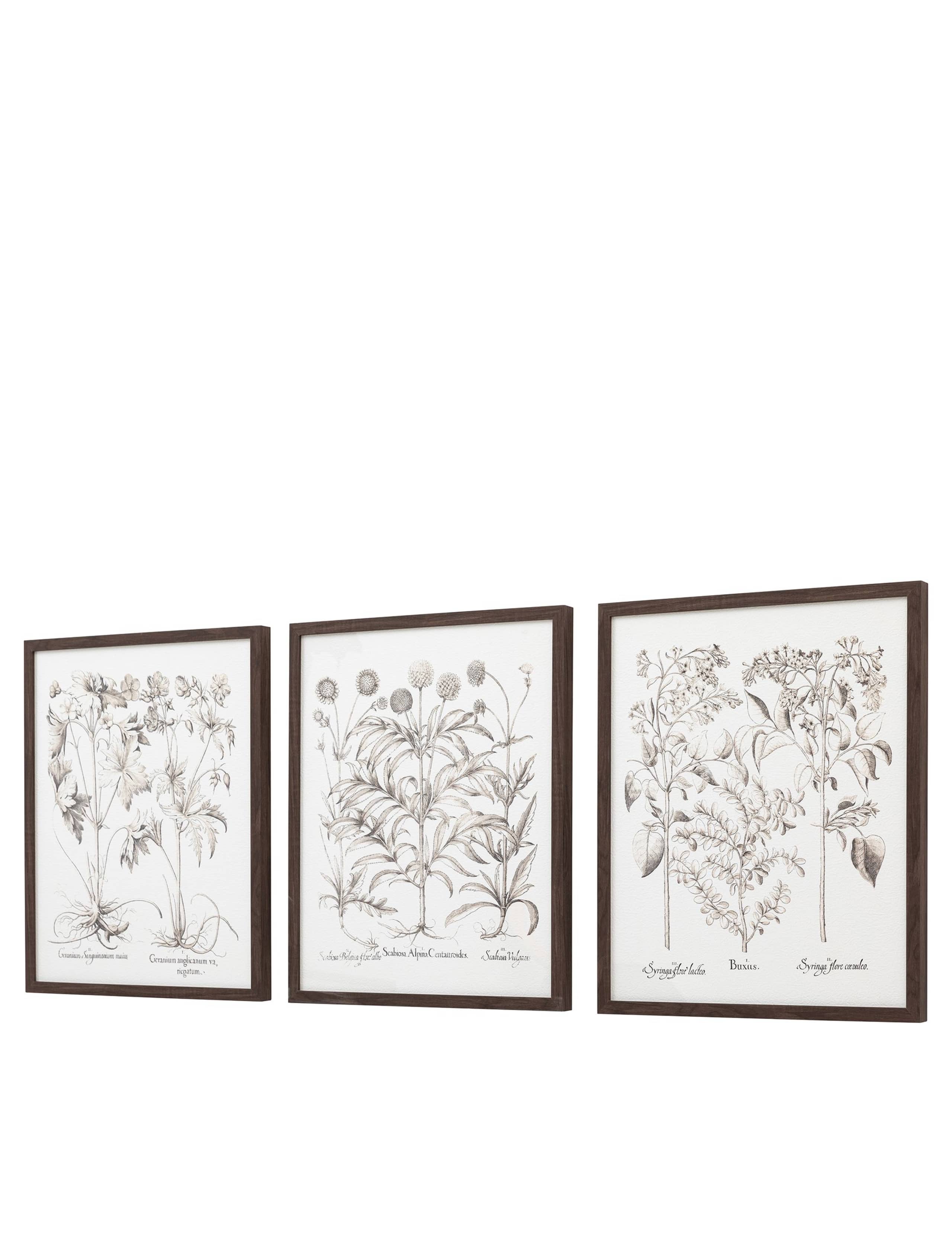 Set of 3 Evergreen Framed Art 4 of 8