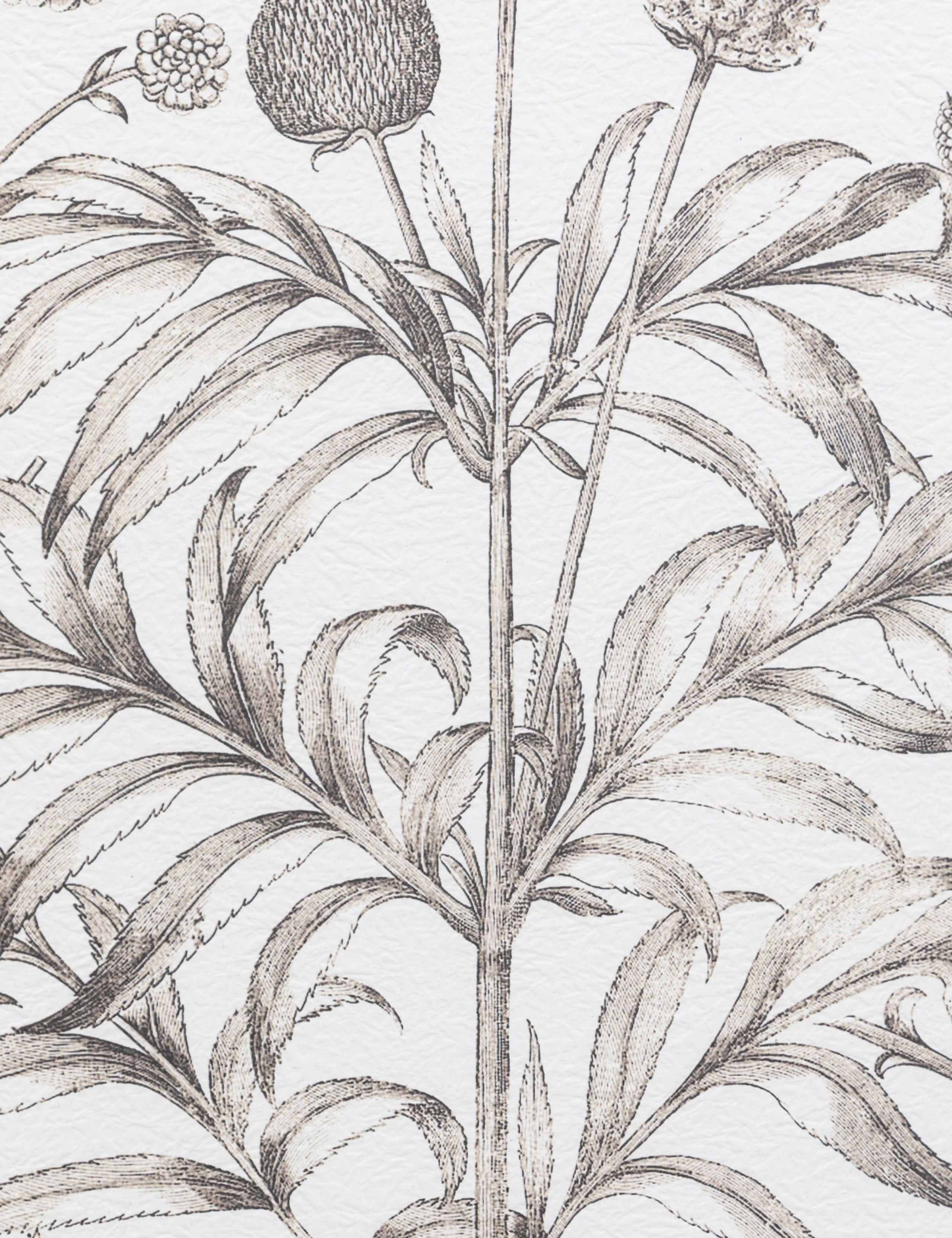 Set of 3 Evergreen Framed Art 7 of 8