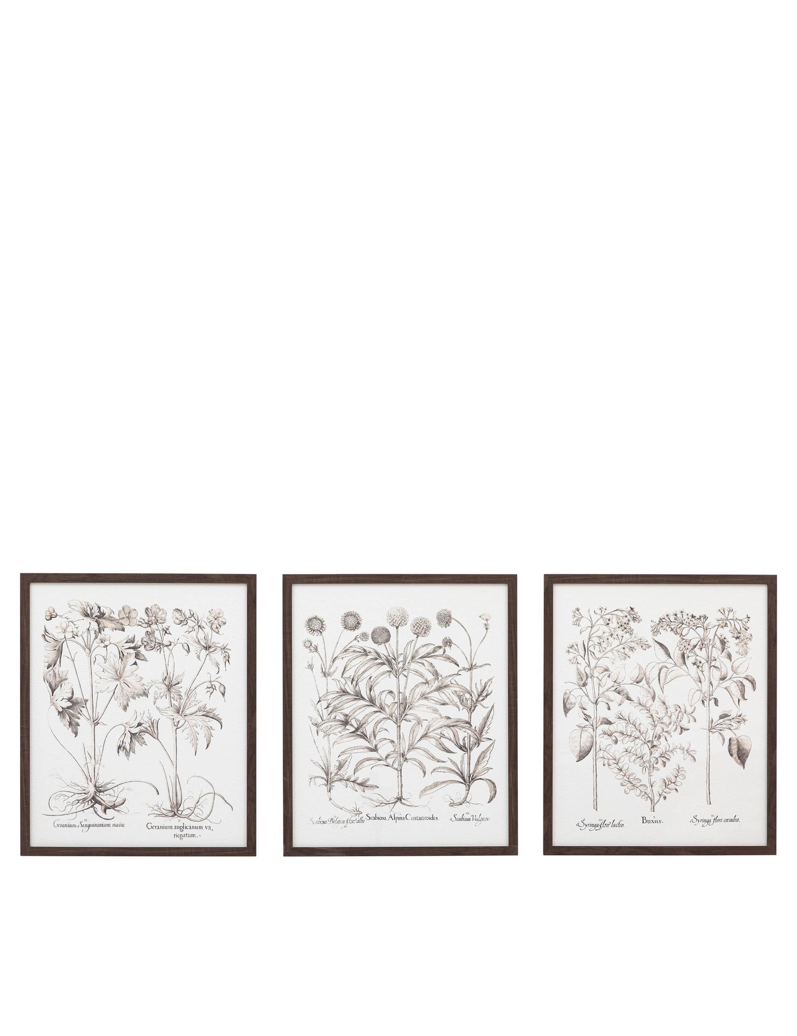 Set of 3 Evergreen Framed Art 2 of 8