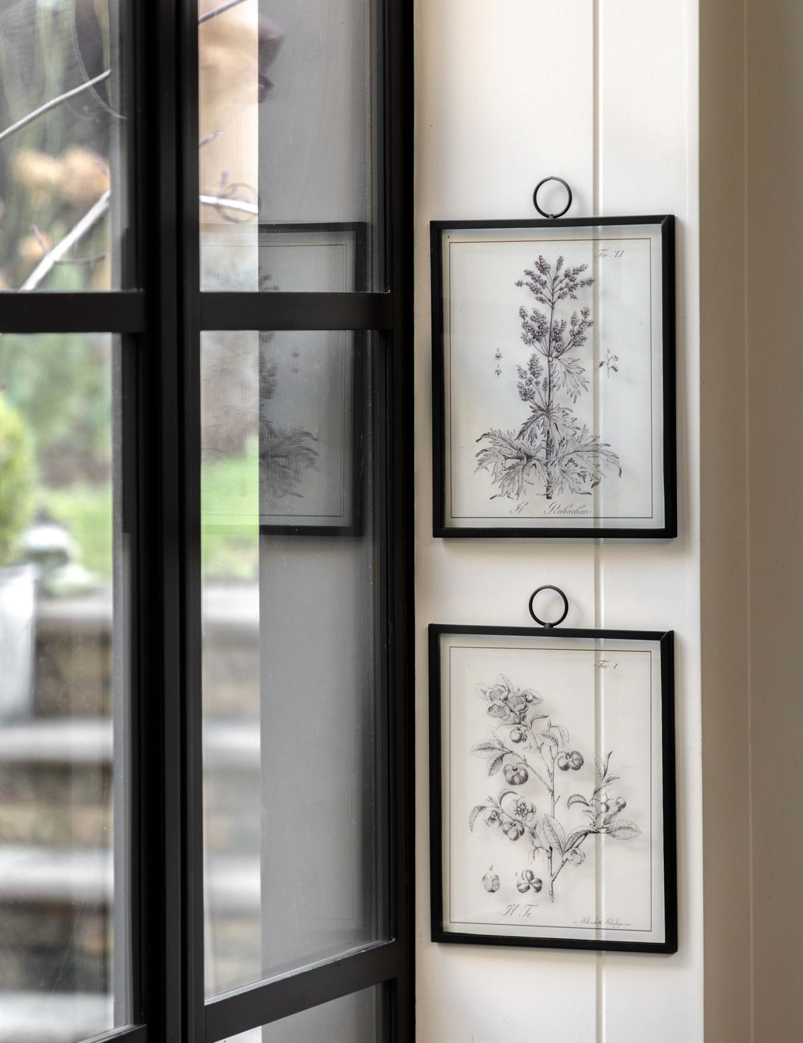 Set of 2 Petiole Framed Art 1 of 8