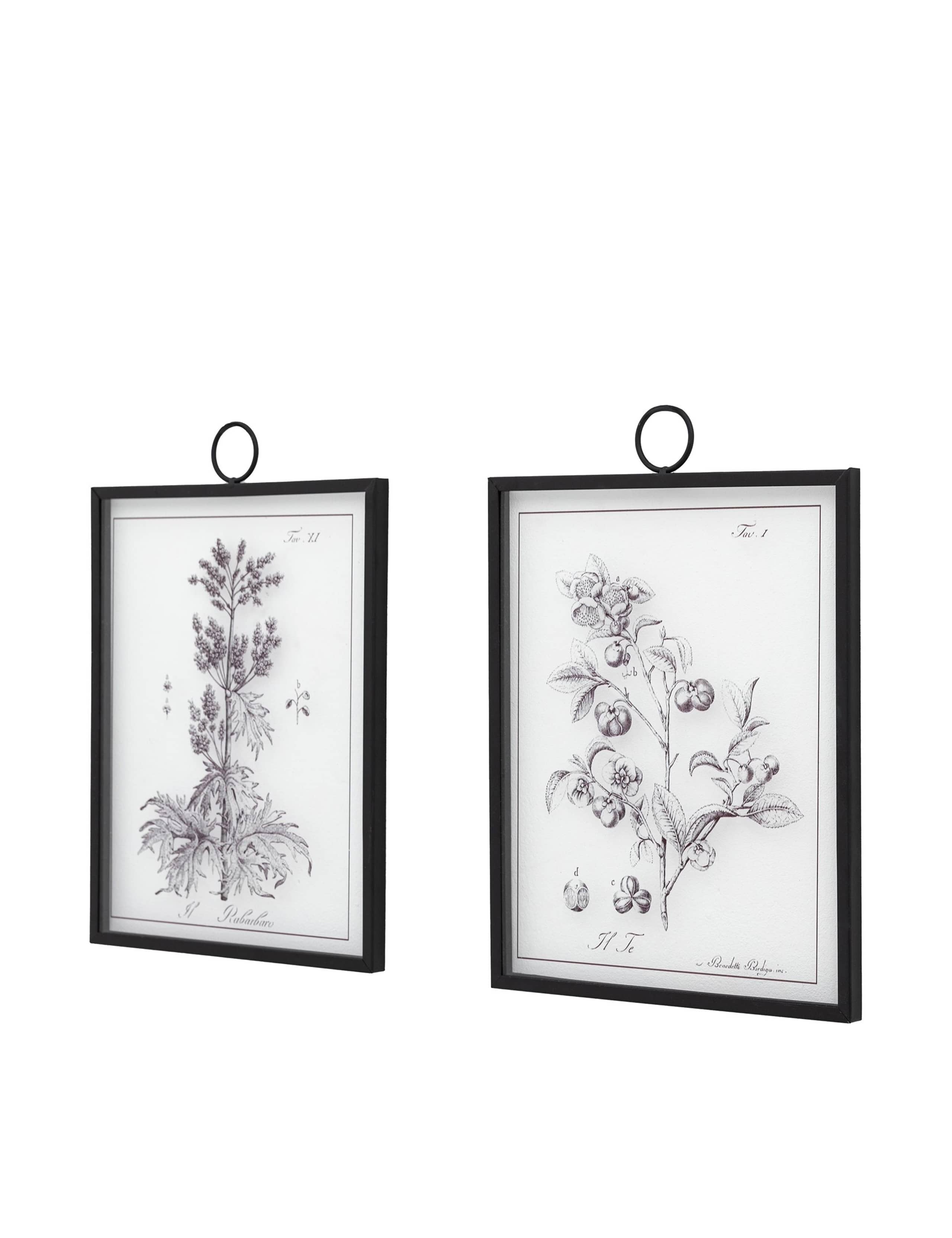 Set of 2 Petiole Framed Art 3 of 8