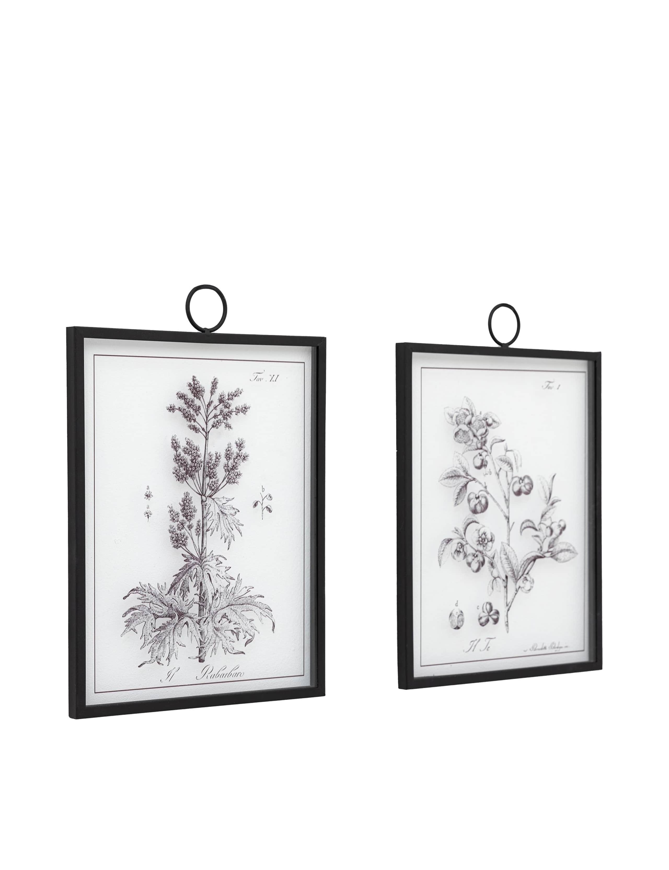 Set of 2 Petiole Framed Art 4 of 8