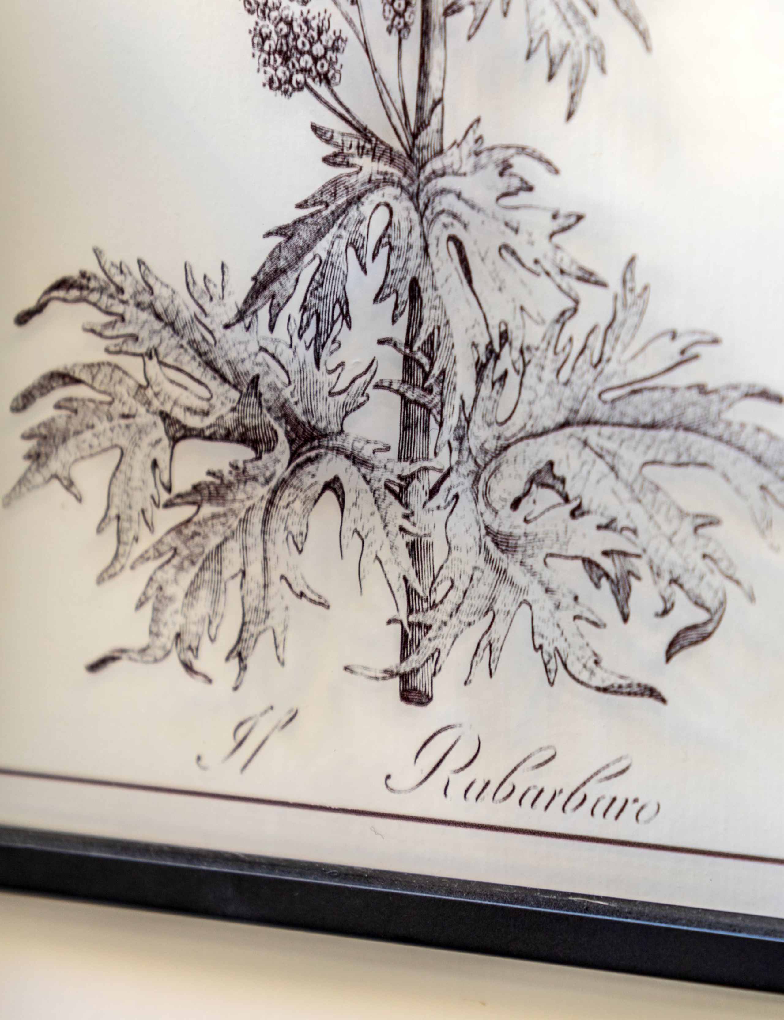 Set of 2 Petiole Framed Art 5 of 8