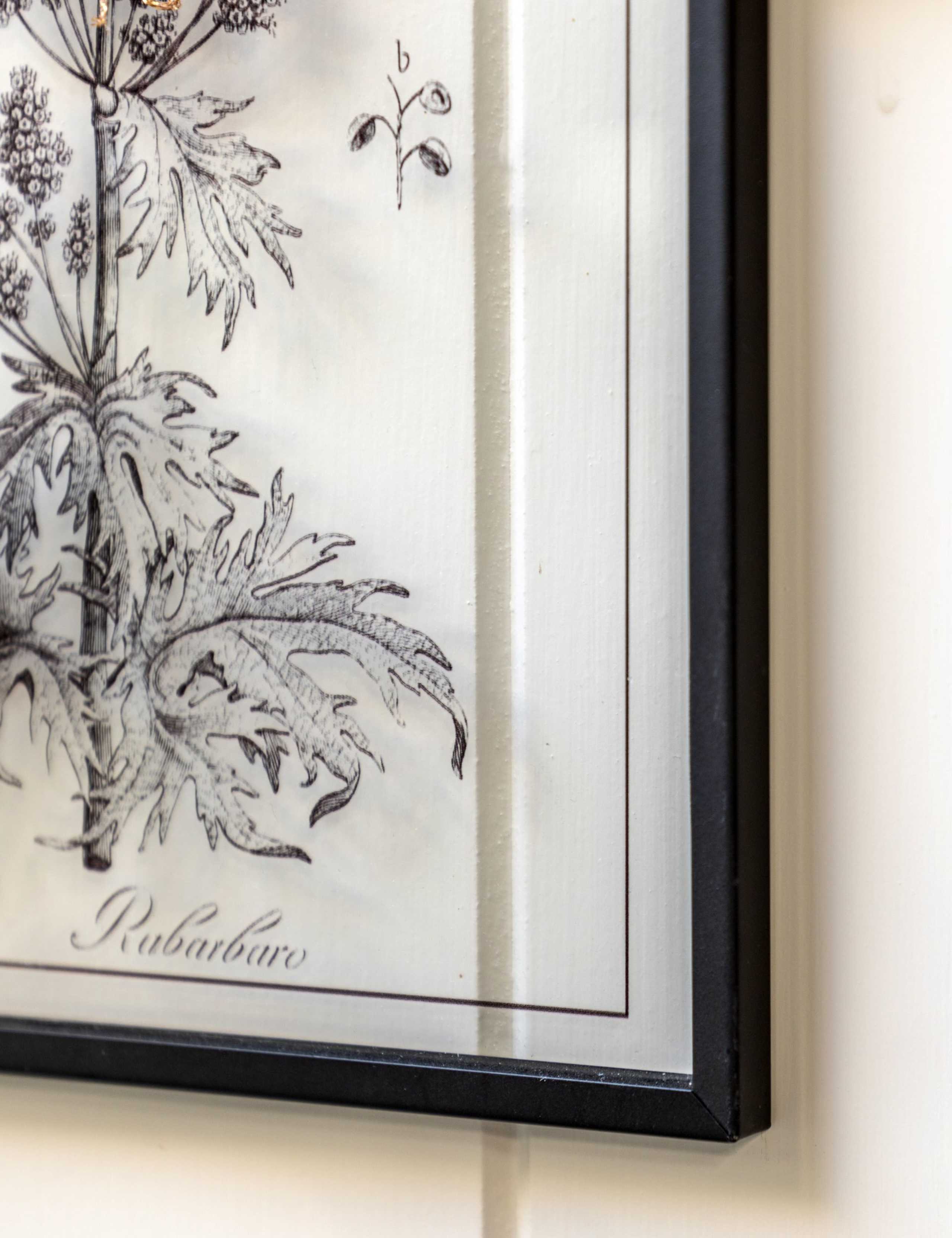 Set of 2 Petiole Framed Art 6 of 8