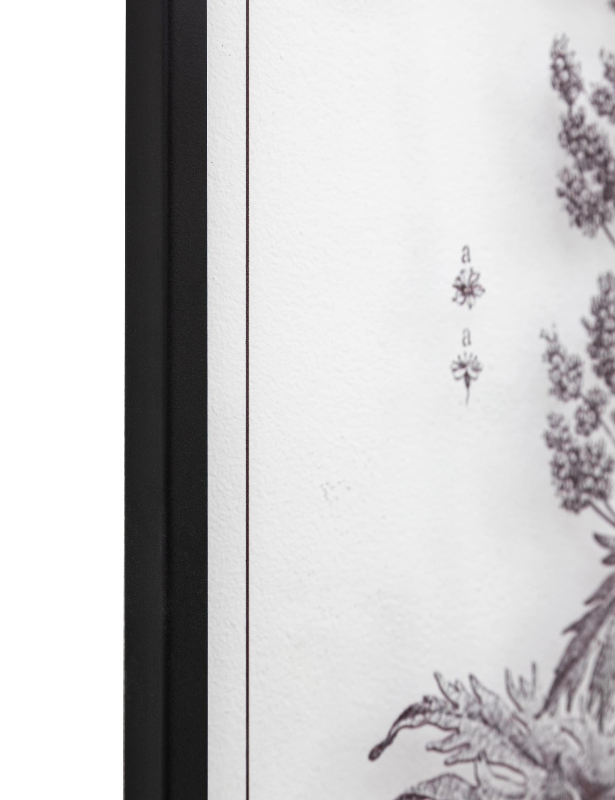 Set of 2 Petiole Framed Art 8 of 8