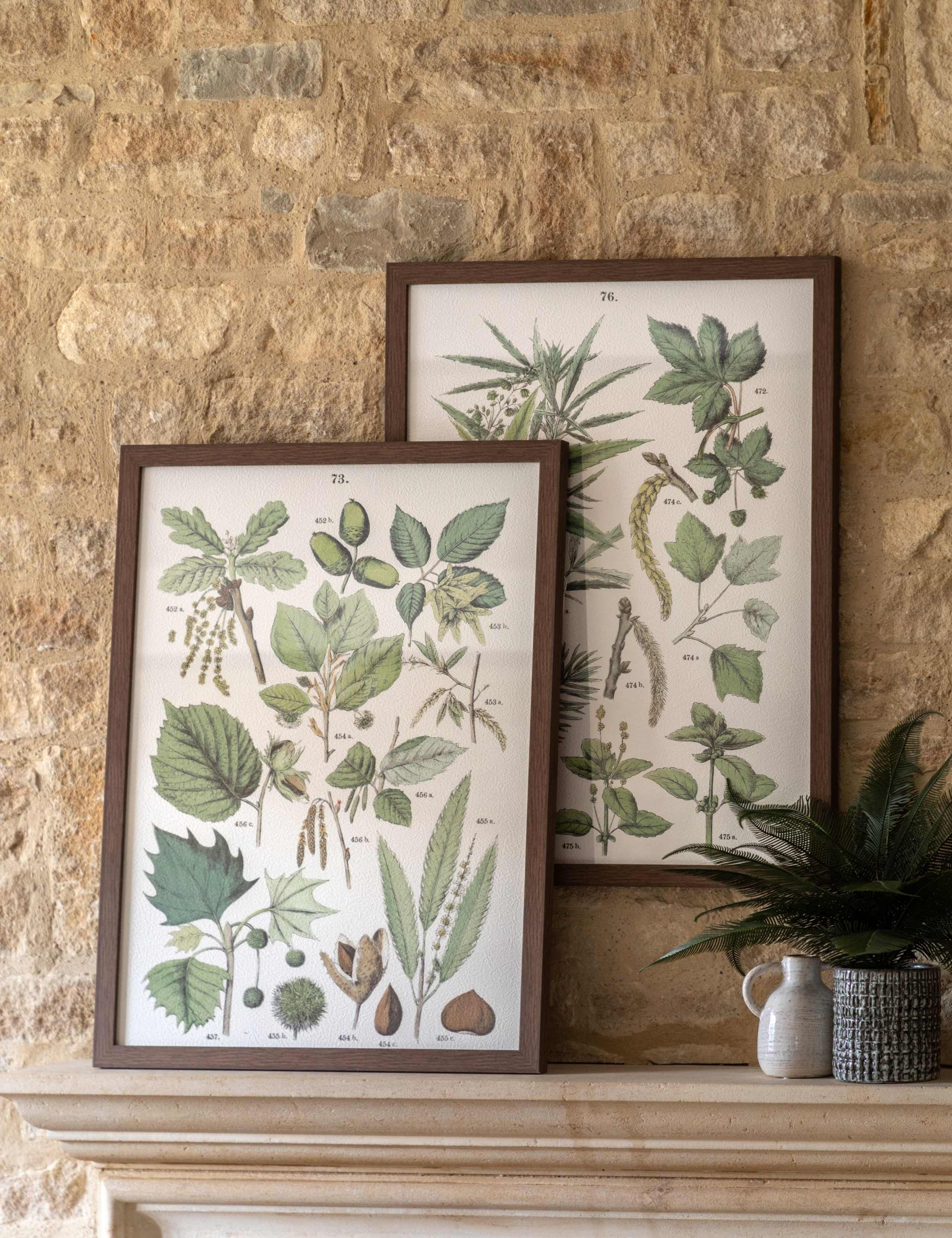 Set of 2 Foliage Study Framed Art 1 of 8