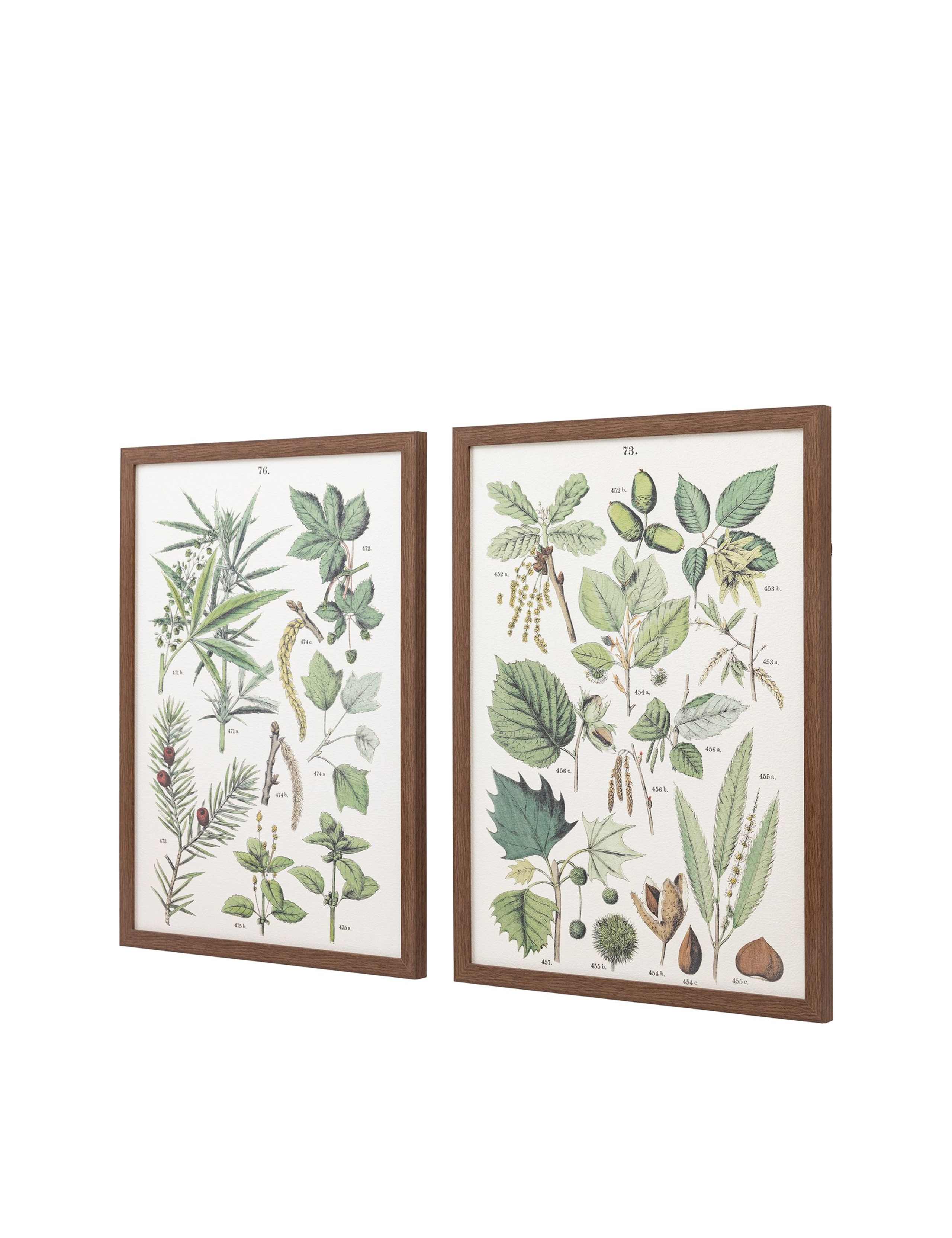 Set of 2 Foliage Study Framed Art 3 of 8