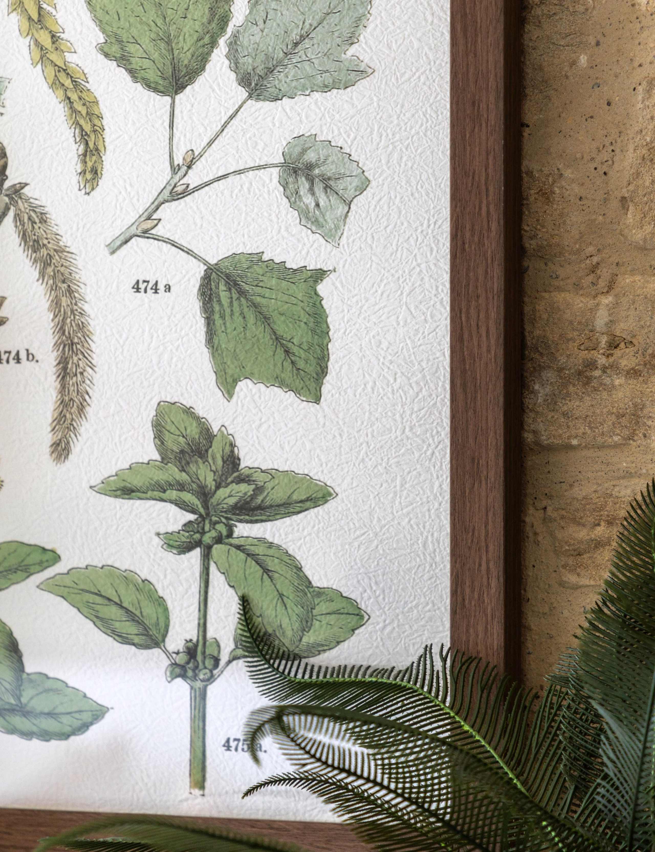 Set of 2 Foliage Study Framed Art 5 of 8