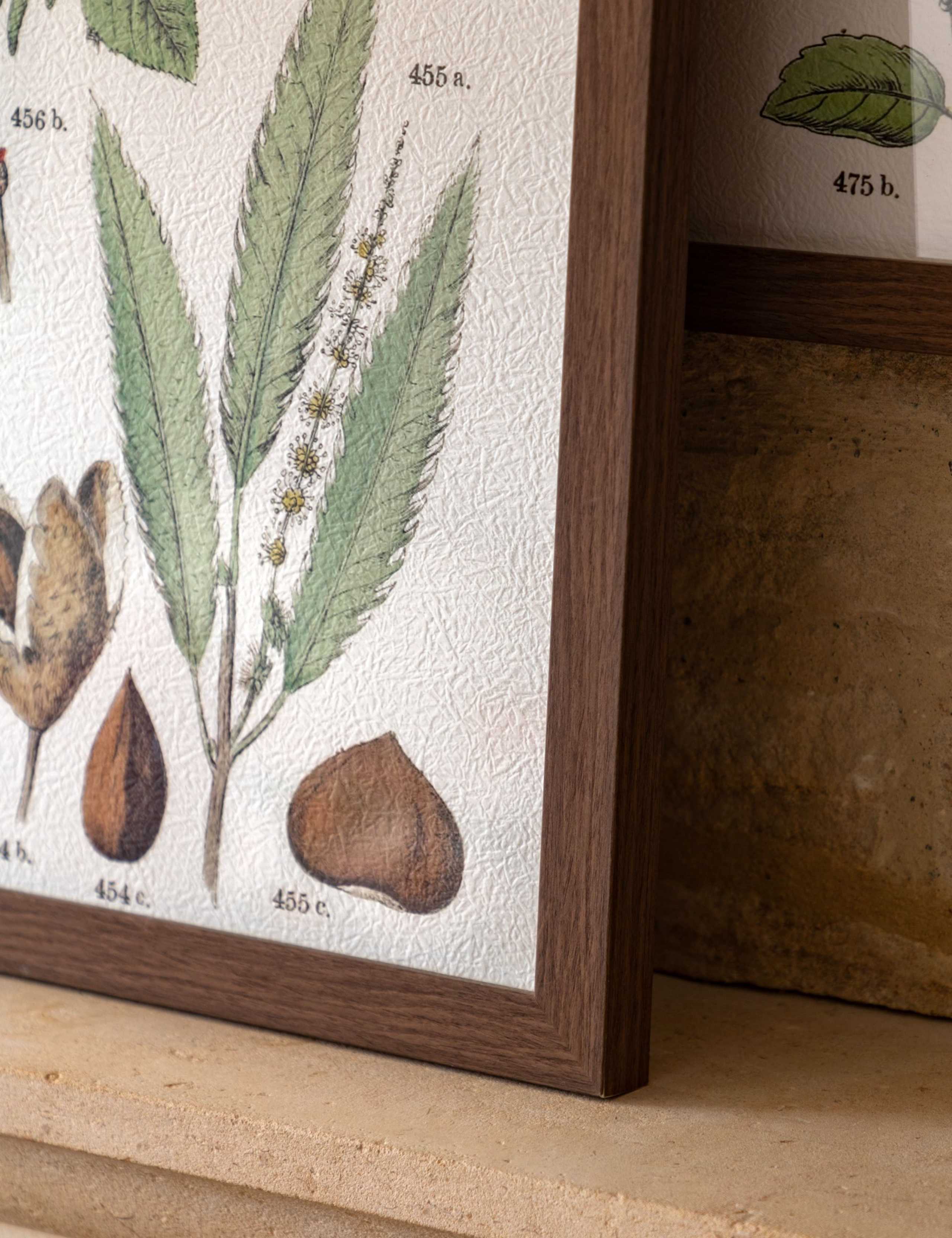 Set of 2 Foliage Study Framed Art 6 of 8