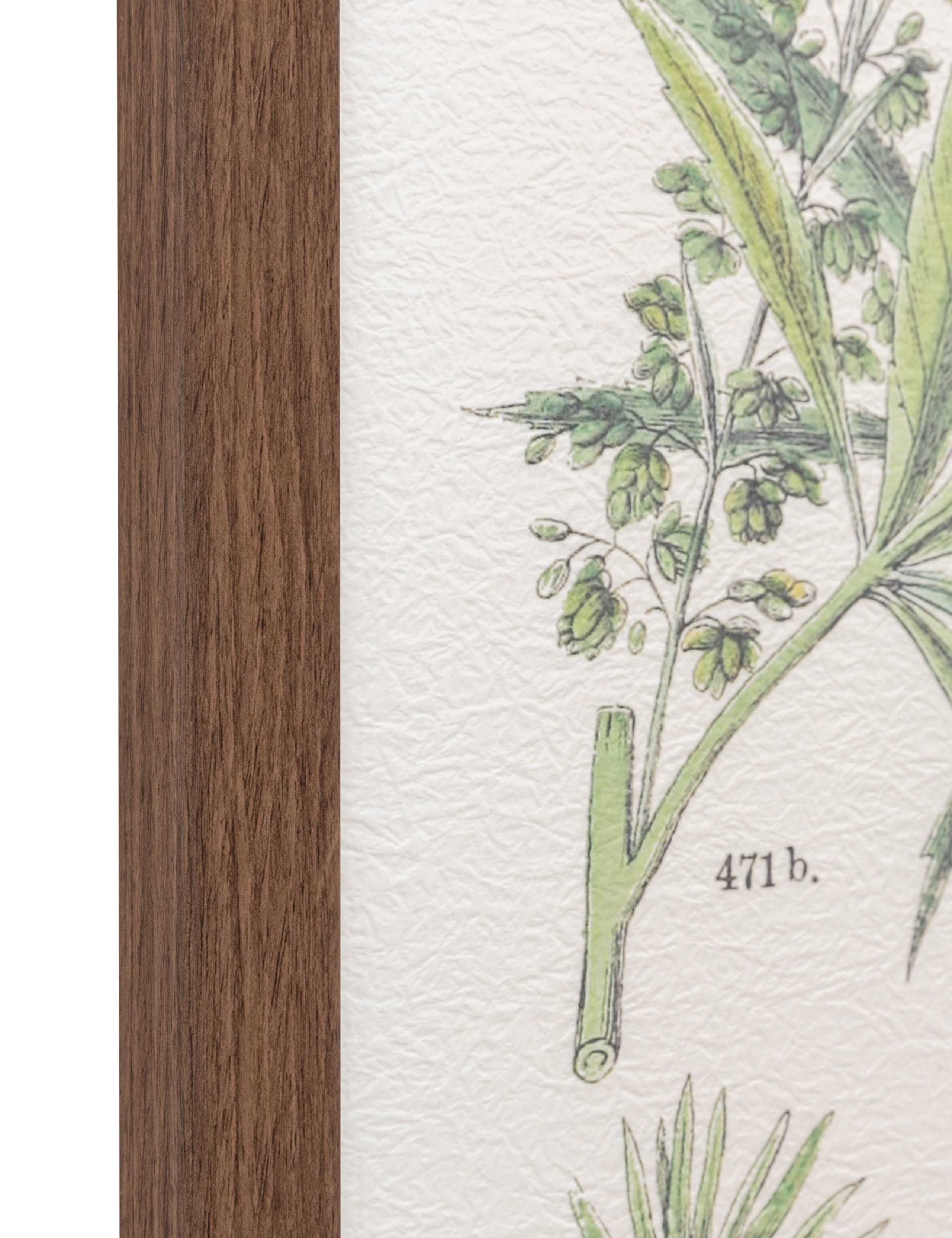 Set of 2 Foliage Study Framed Art 7 of 8