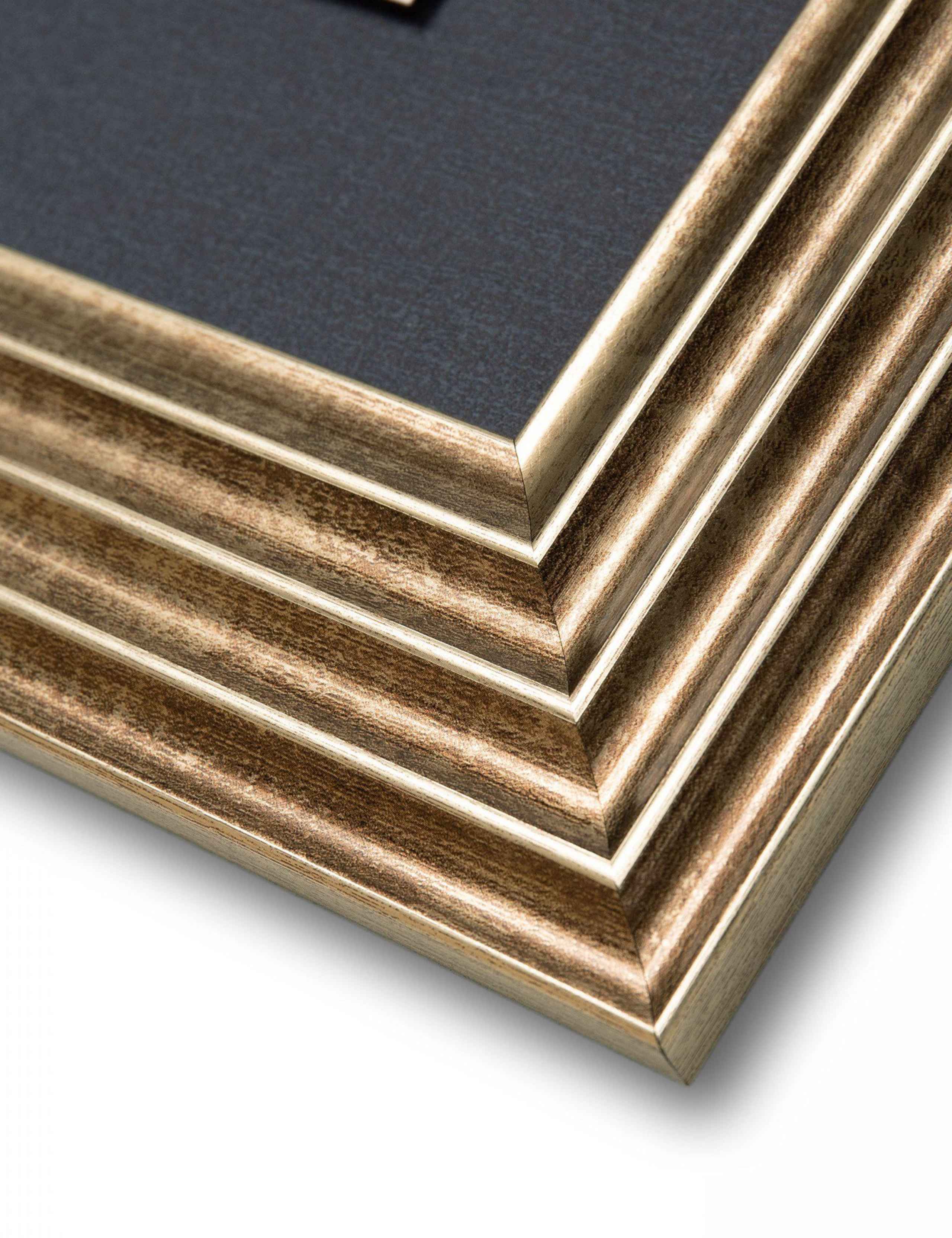 Rosa Nivea Rectangle Framed Canvas 4 of 4