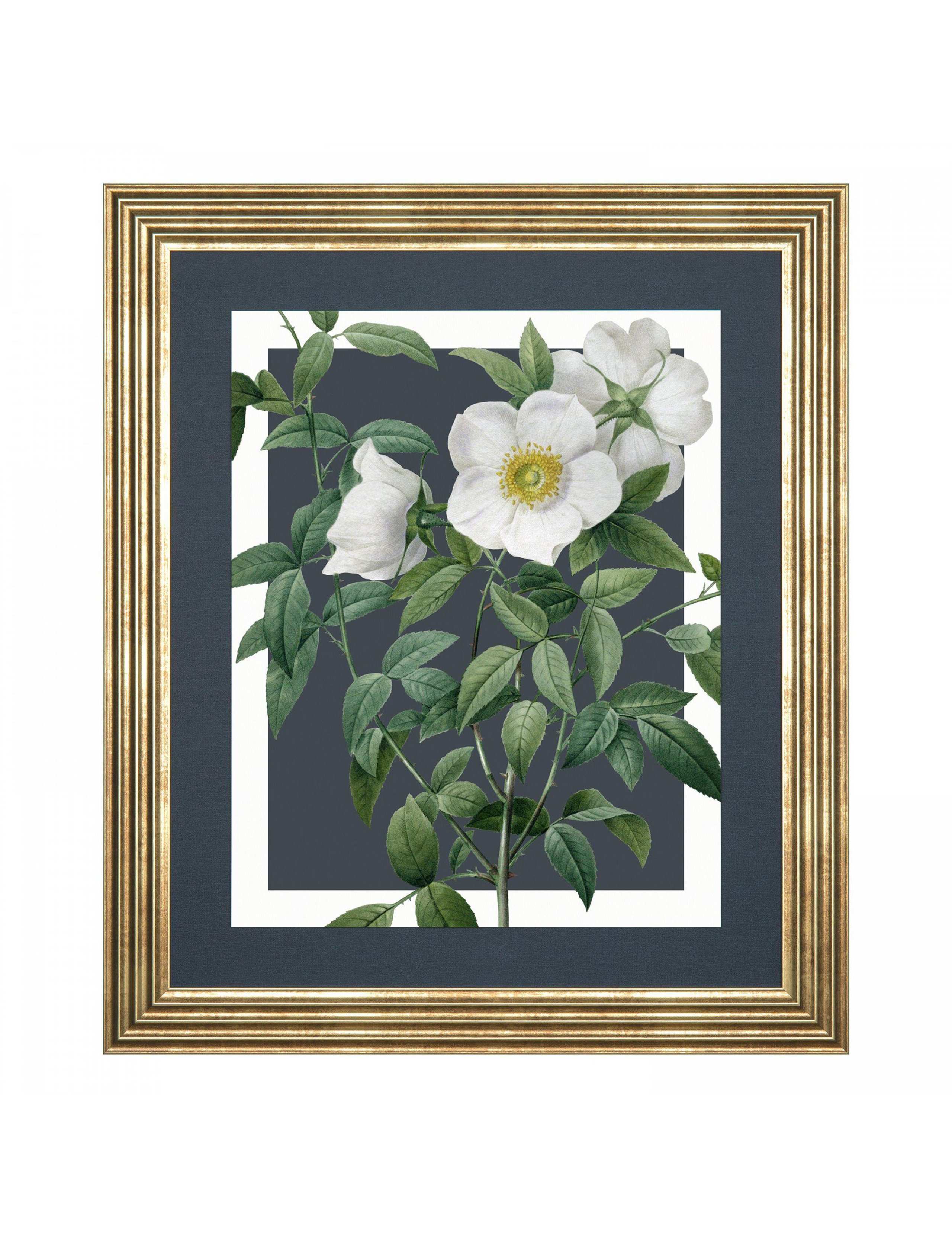 Rosa Nivea Rectangle Framed Canvas 2 of 4