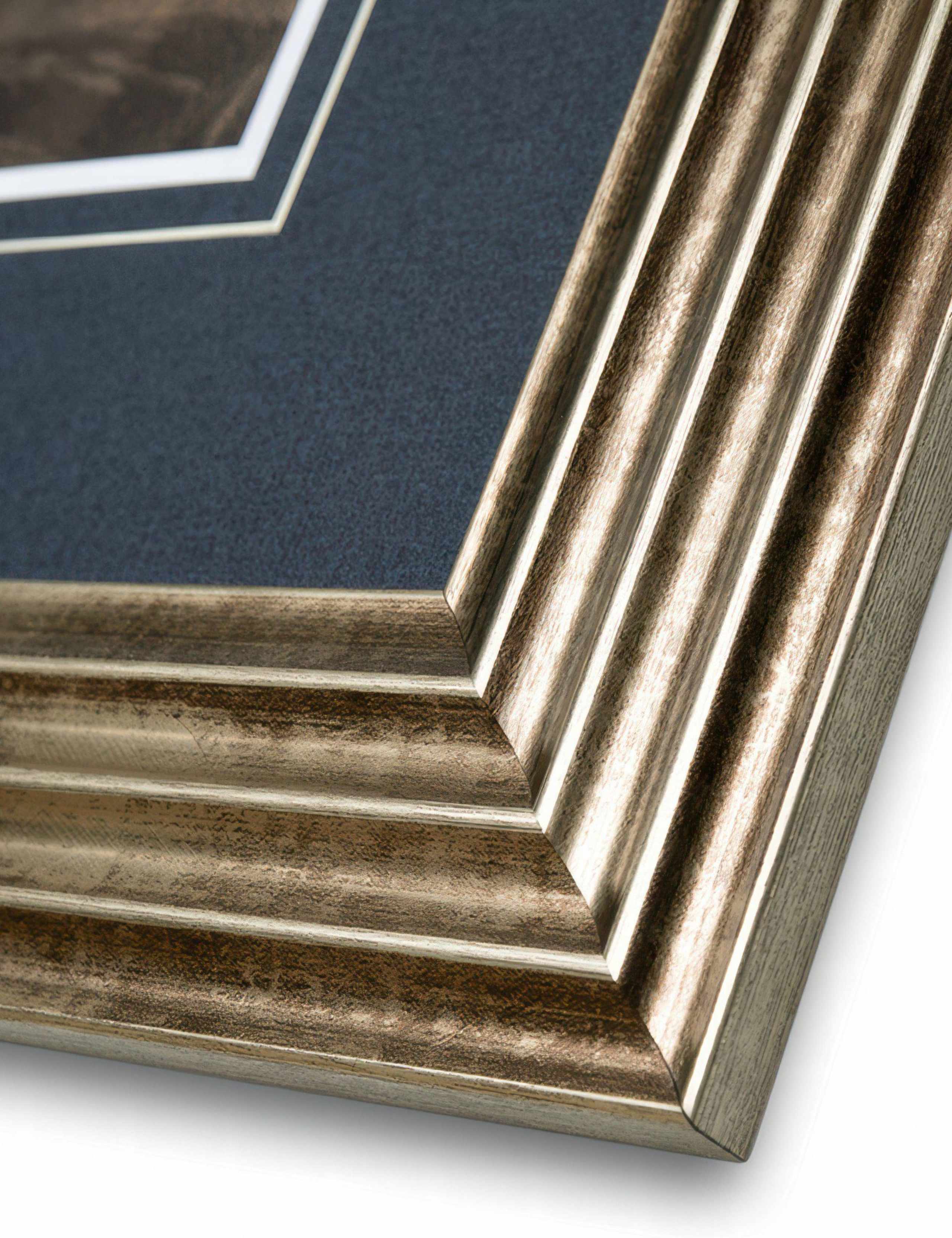 Louisiana Heron Rectangle Framed Art 4 of 4