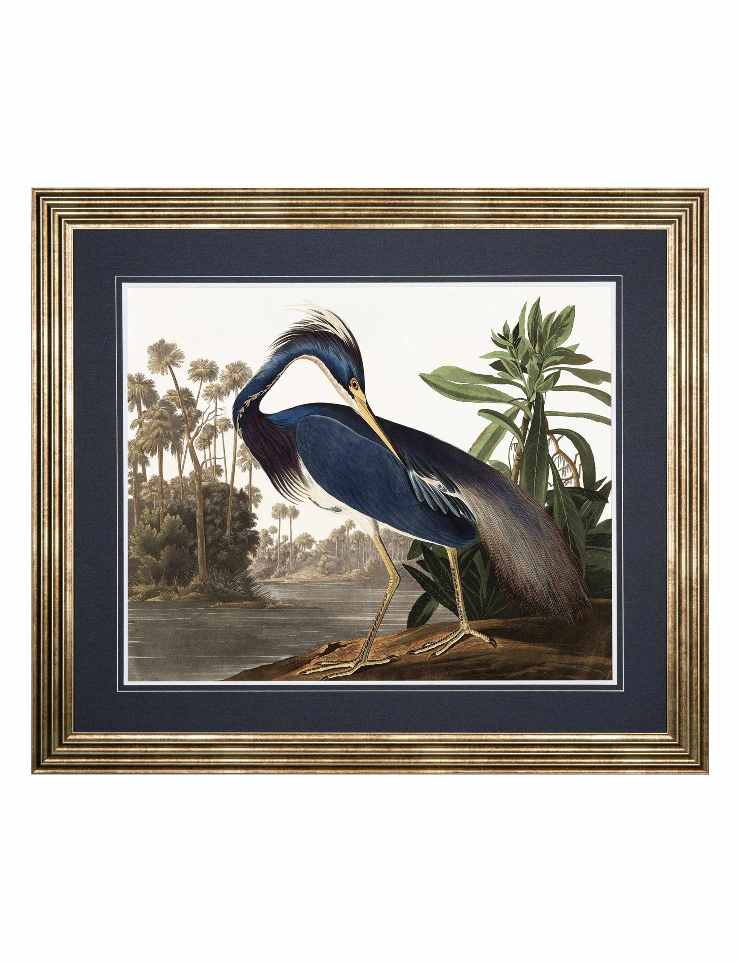 Louisiana Heron Rectangle Framed Art 2 of 4