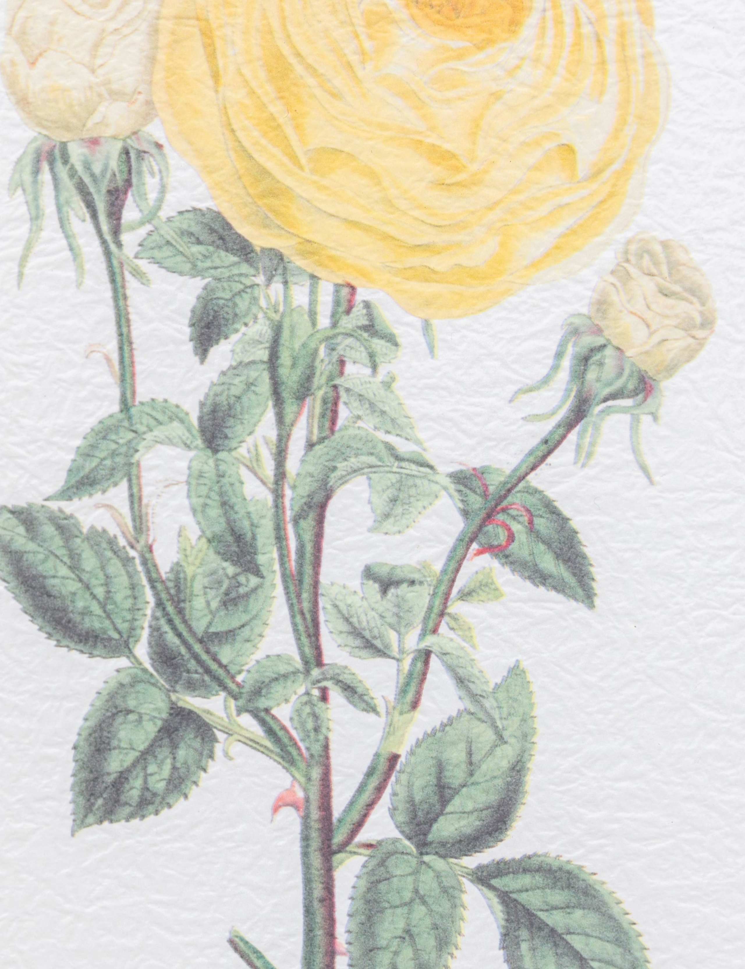 Set of 4 Floral Framed Art 4 of 4