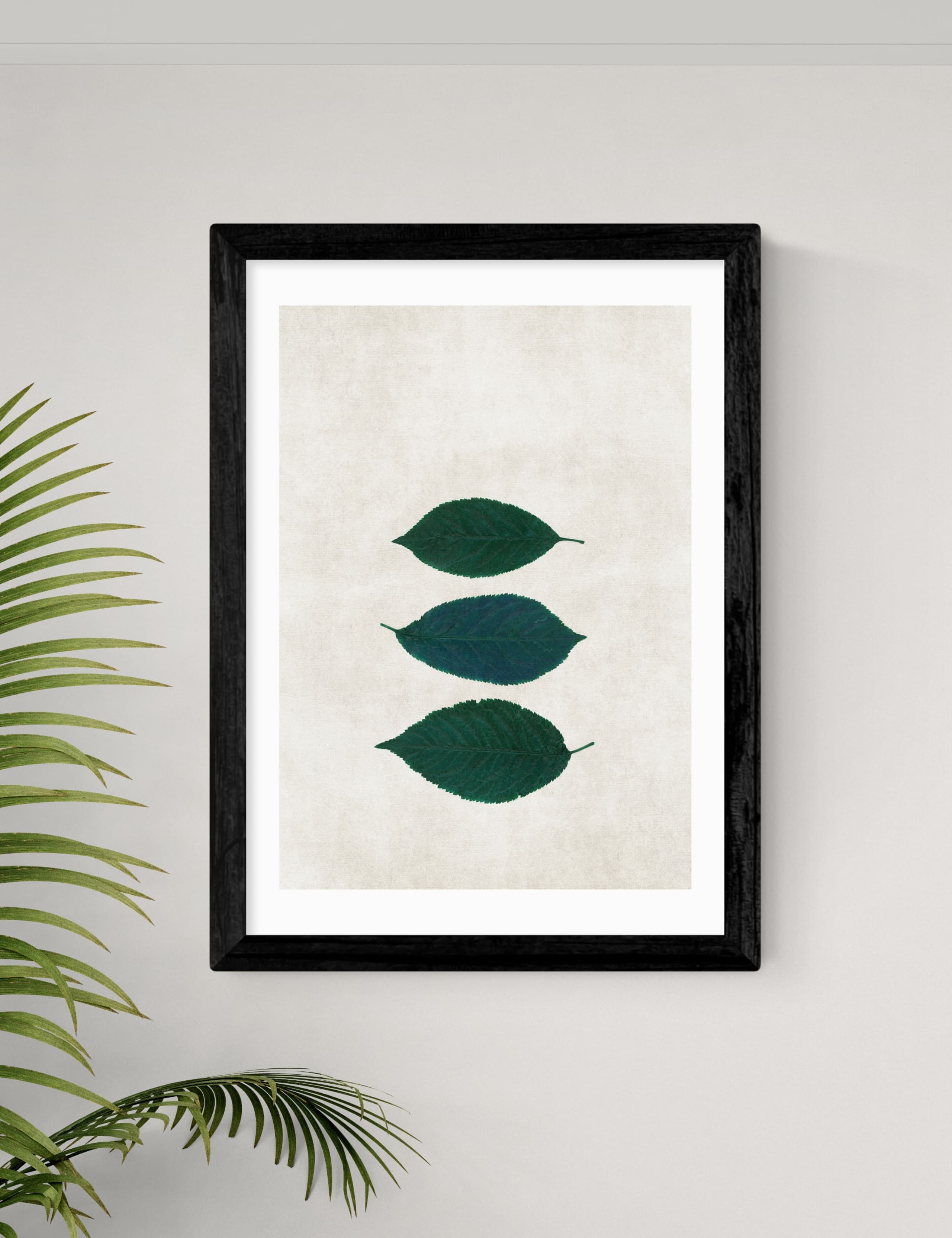 Three Of A Kind V Framed Art 2 of 2