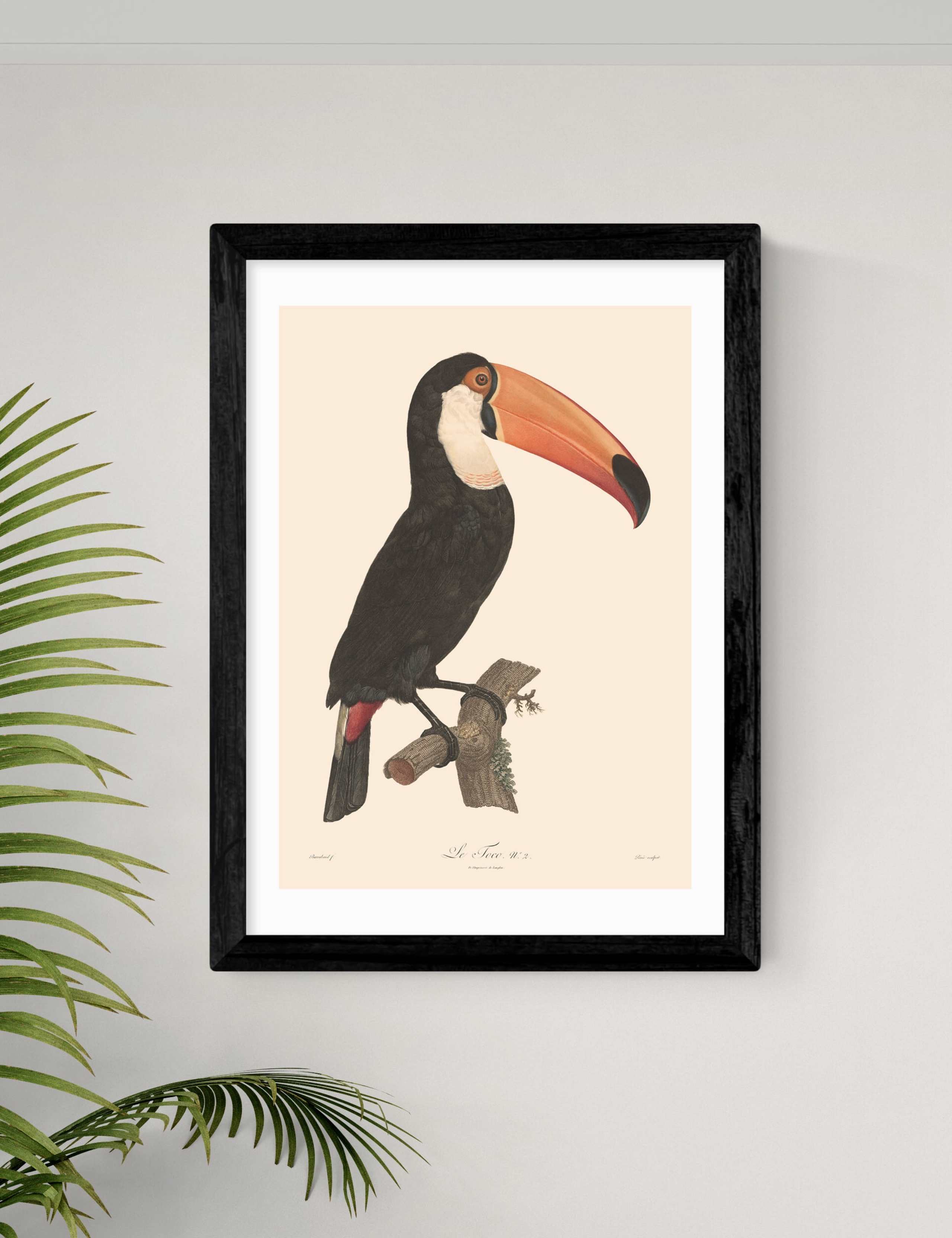 Toucan by Aster Framed Art 2 of 2