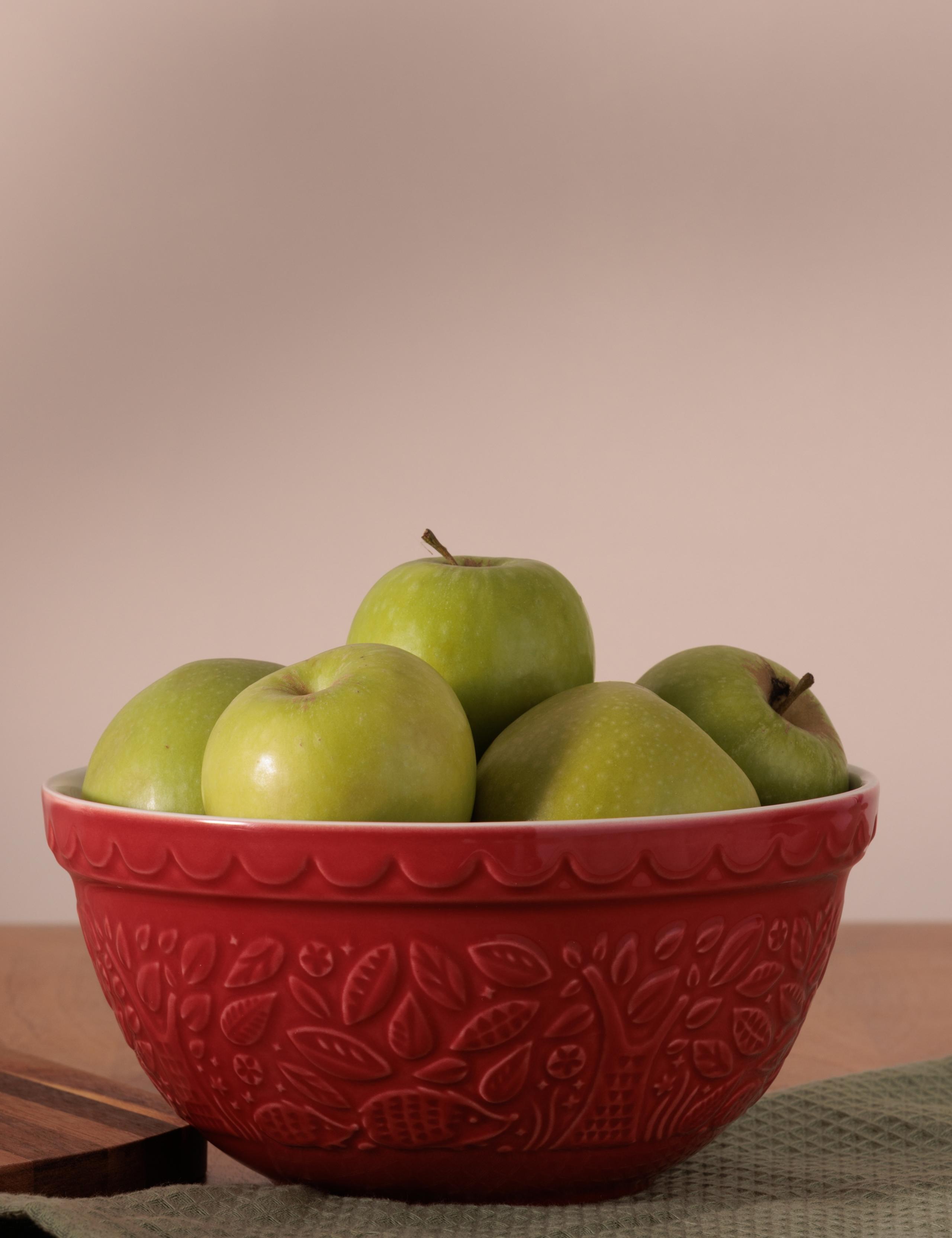 Hedgehog 21cm Mixing Bowl 4 of 4