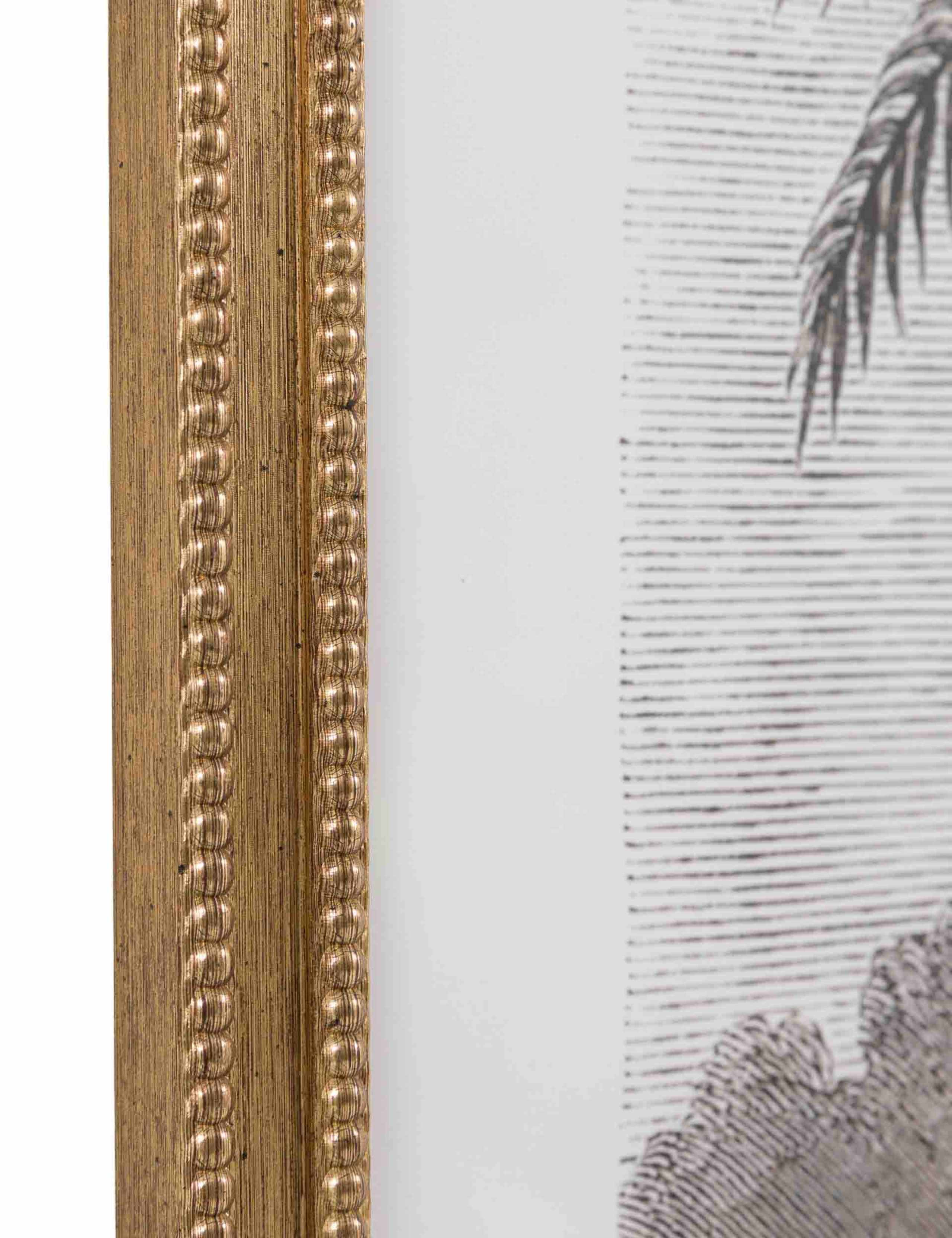Set of 2 Colonial Sketches Rectangle Framed Art 7 of 8