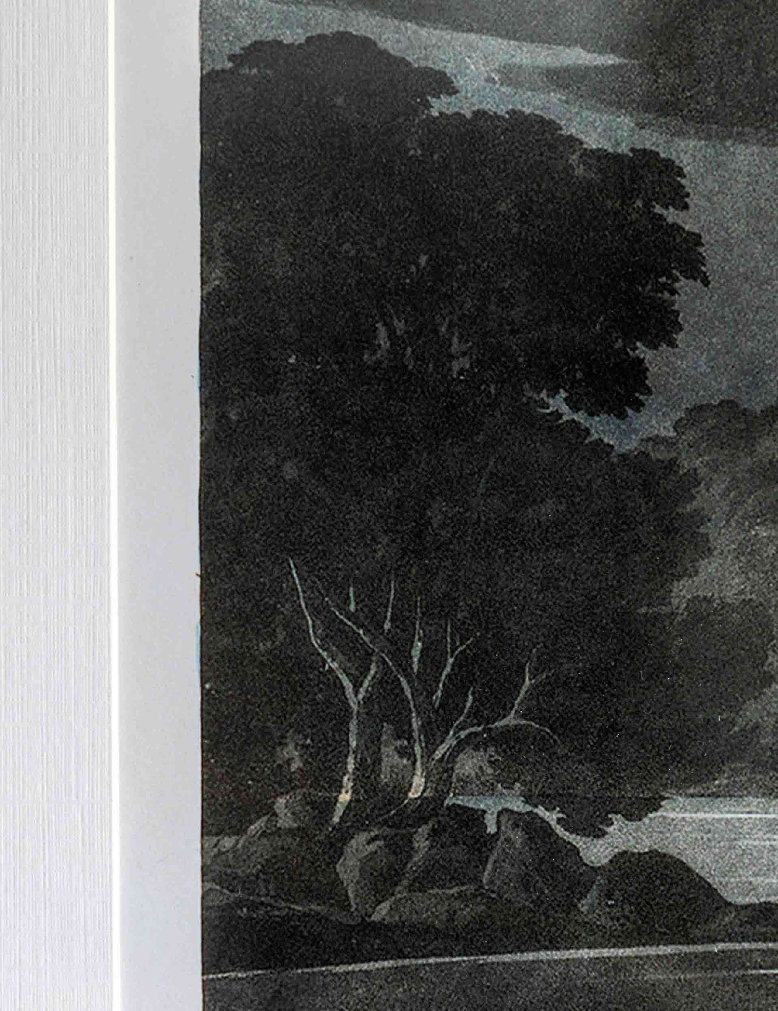Pellicano Framed Wall All 7 of 8