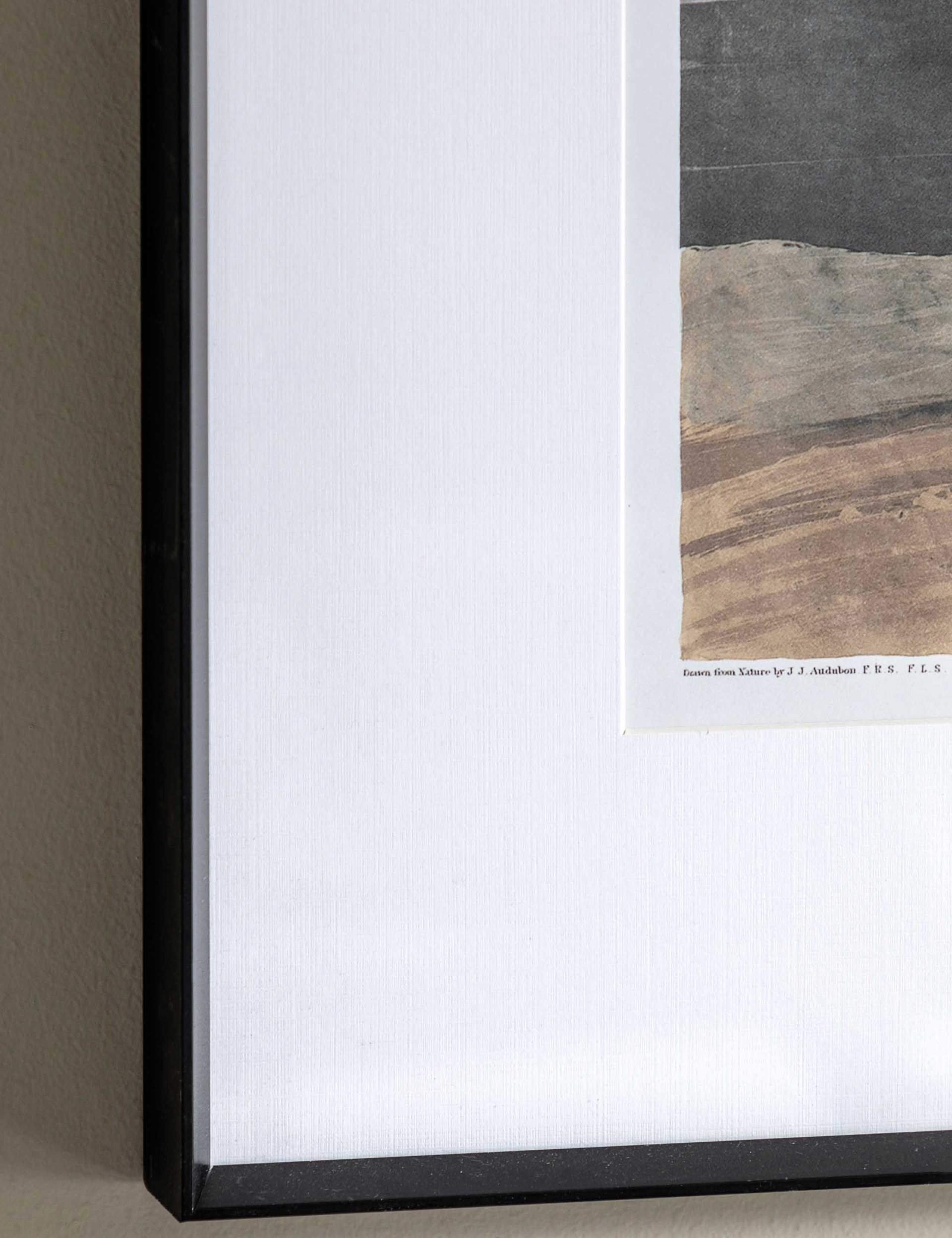 Pellicano Framed Wall All 8 of 8
